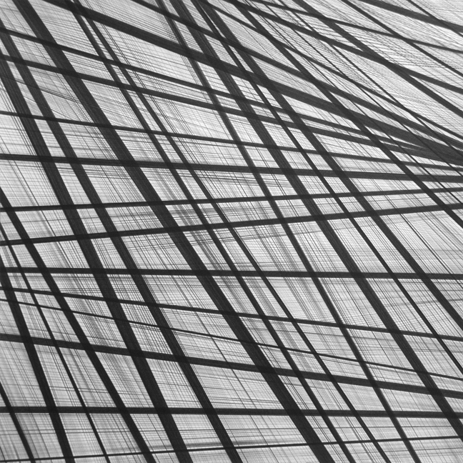 021210 • 2010 • graphite on paper • 14" x 14"
