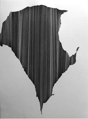 051108 • 2008 • graphite on paper • 12" x 9"