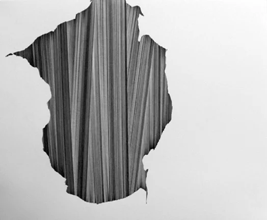 033008 • 2008 • graphite on paper • 11" x 14"