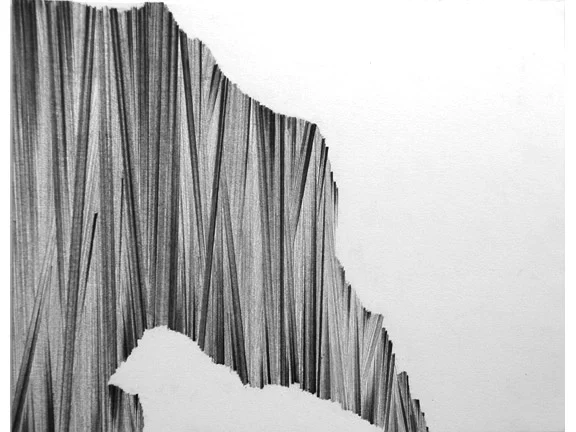 091607 • 2007 • graphite on paper • 11" x 14” 