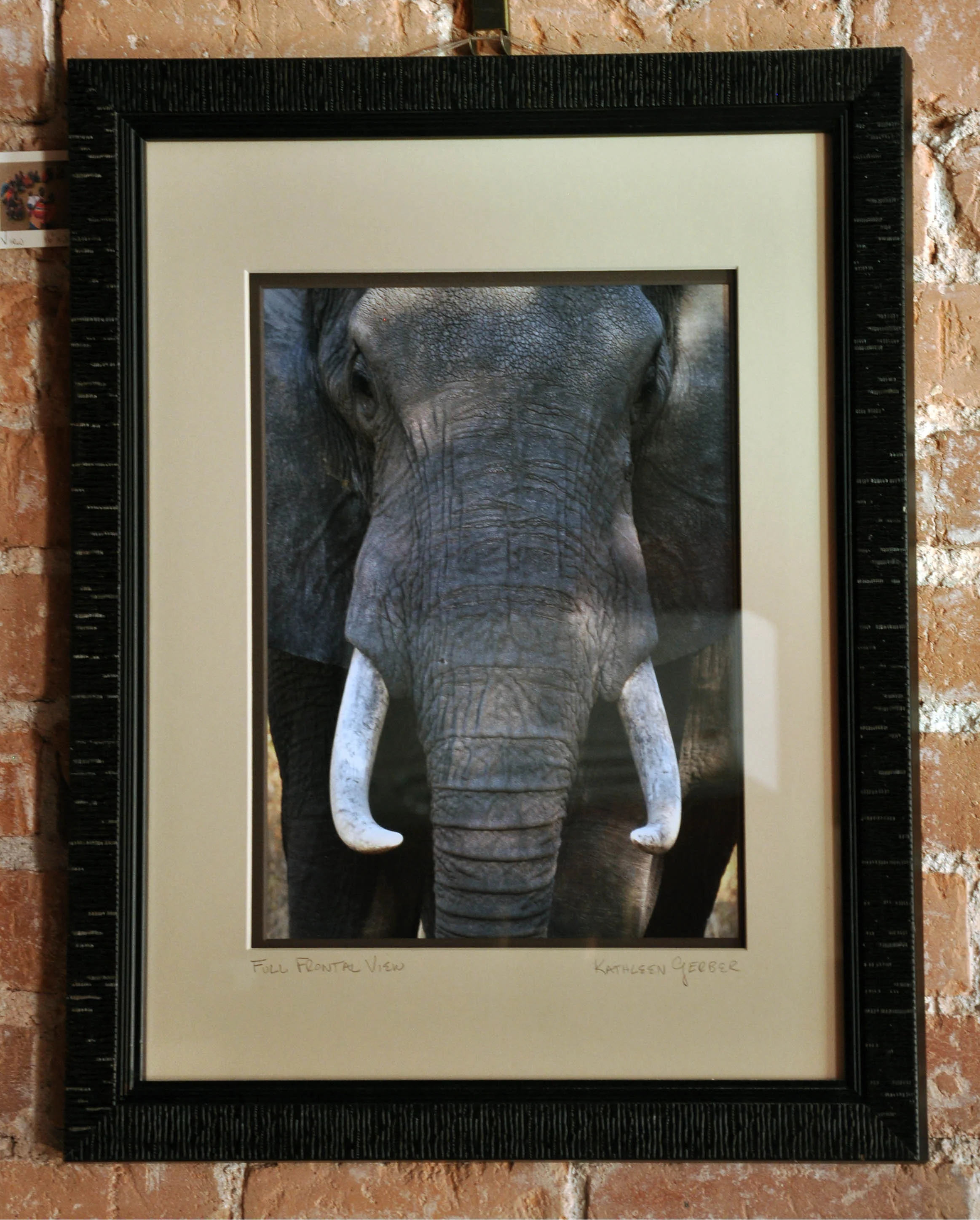 Full Frontal - 16 x 20_edited-2-16.JPG