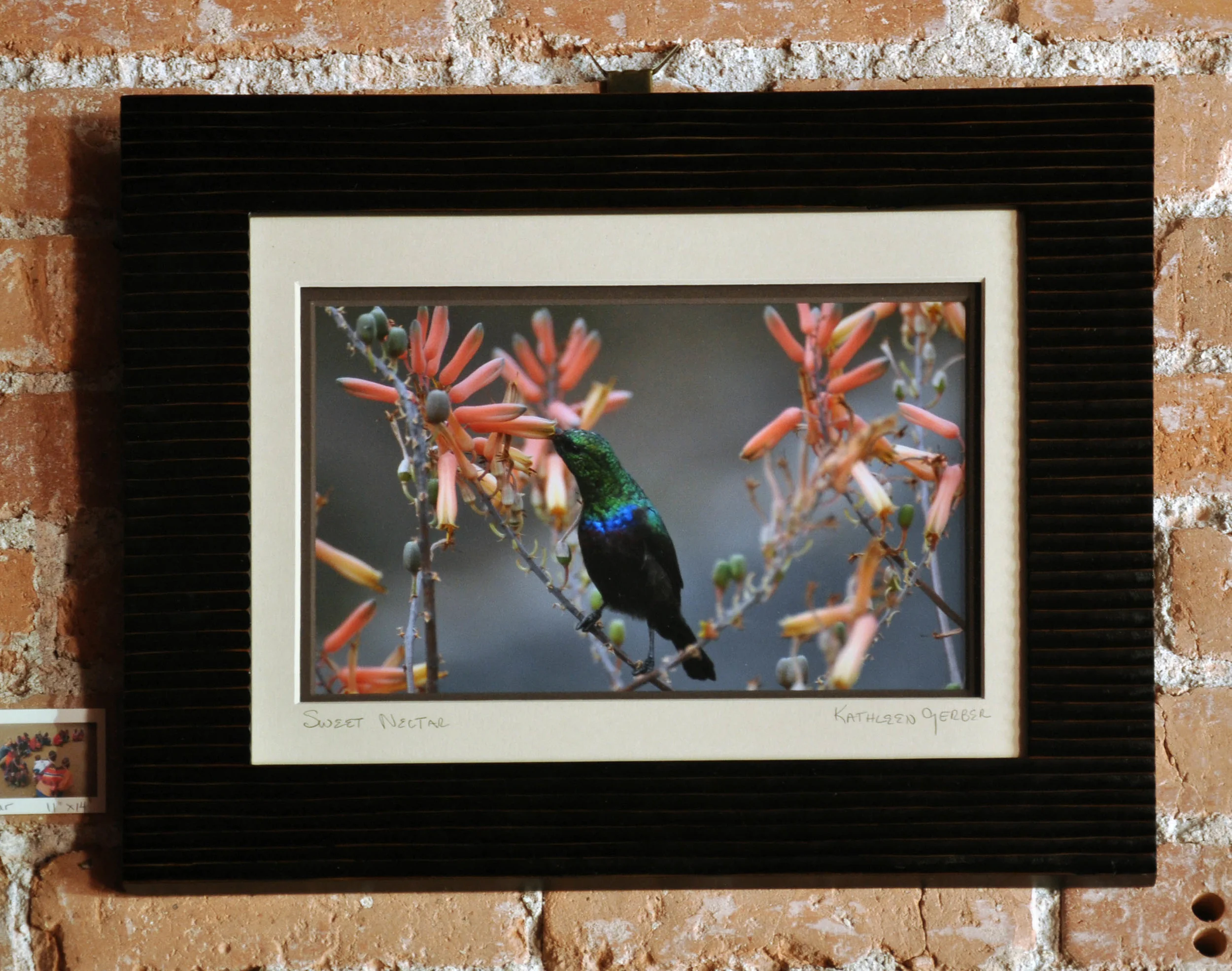 Sweet Necture - 11 x 14_edited-3-15.JPG