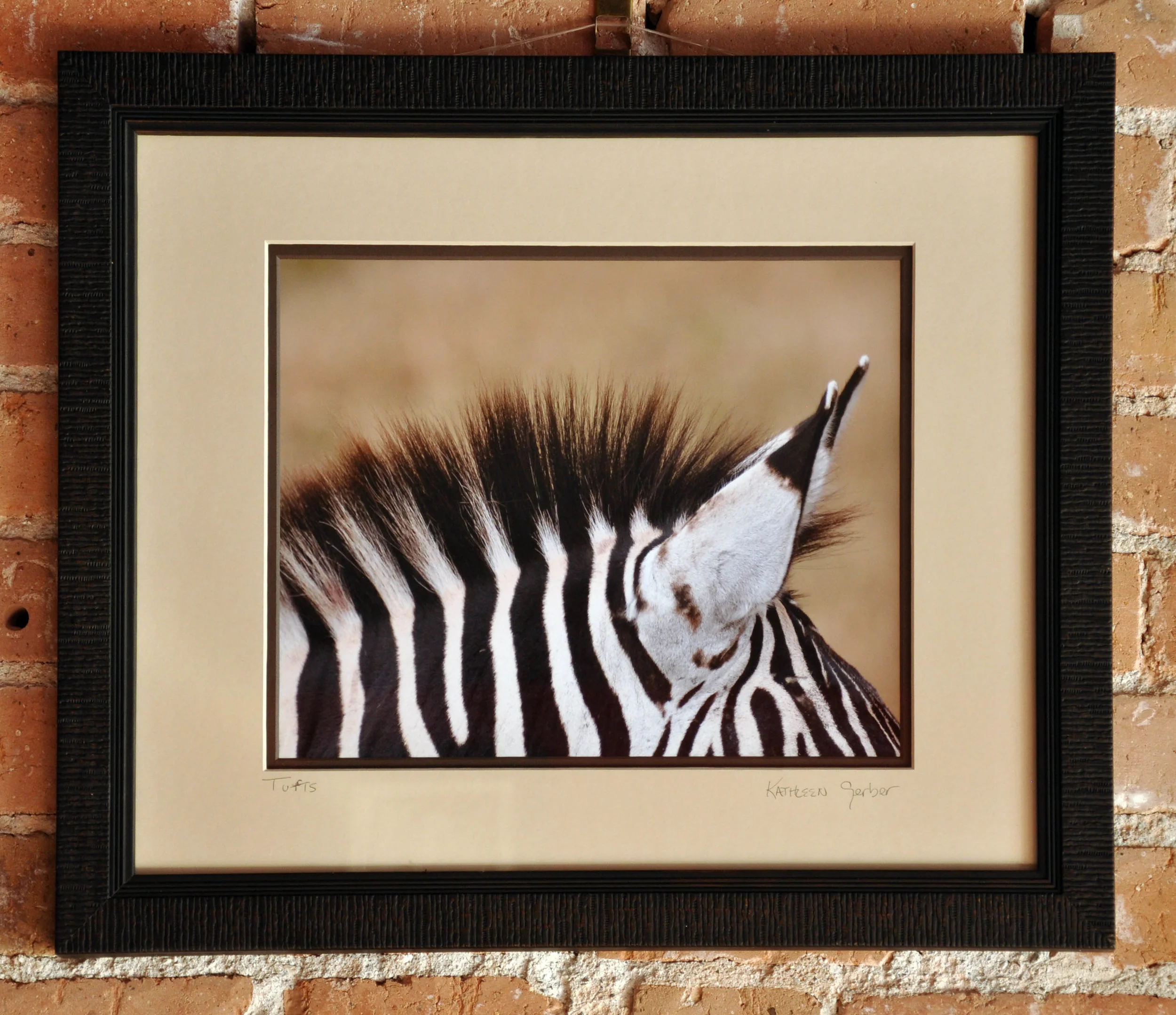 Tufts 16 x 20_edited-1-10.JPG