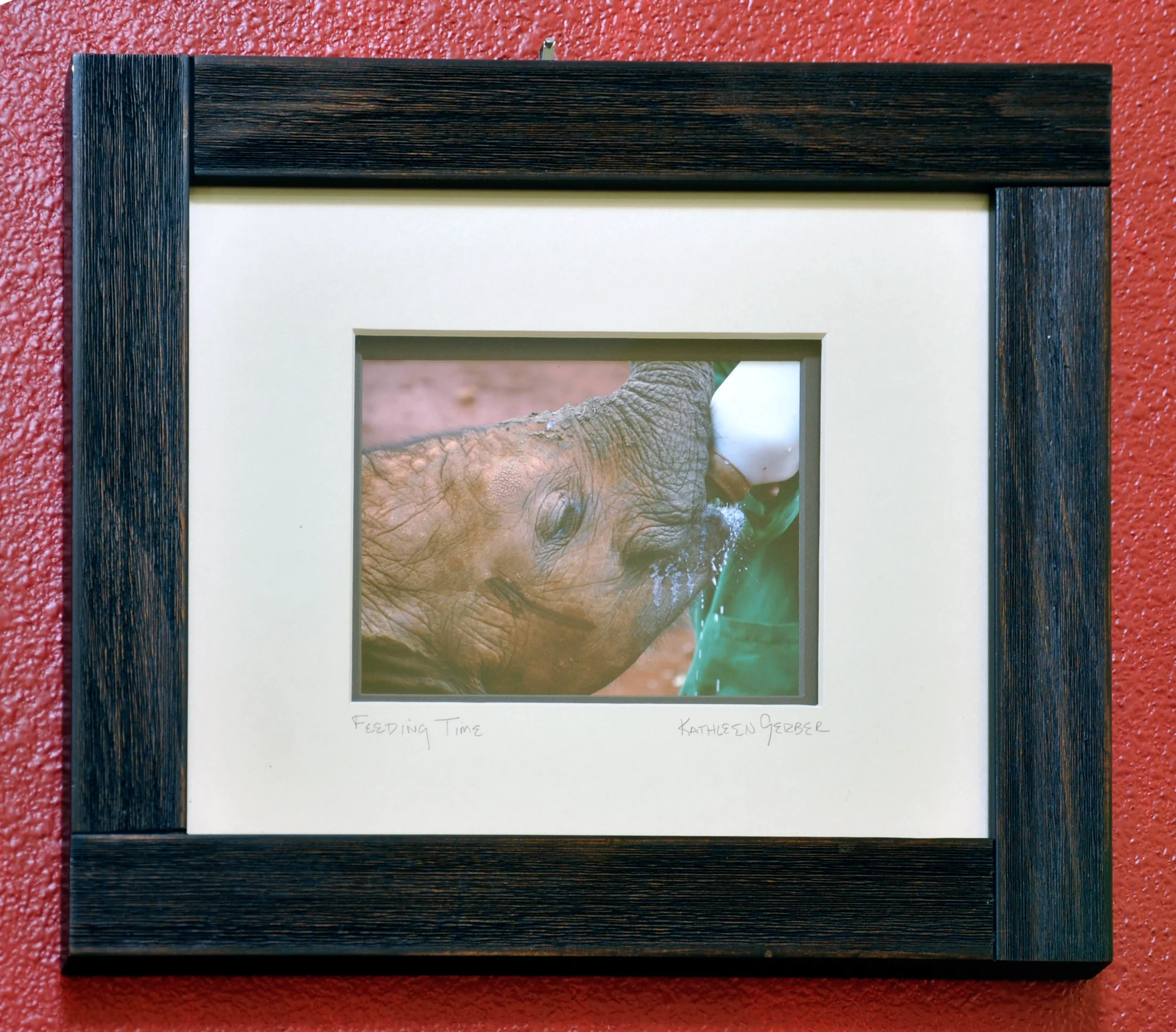 Feeding Time 11x14 red-32.JPG