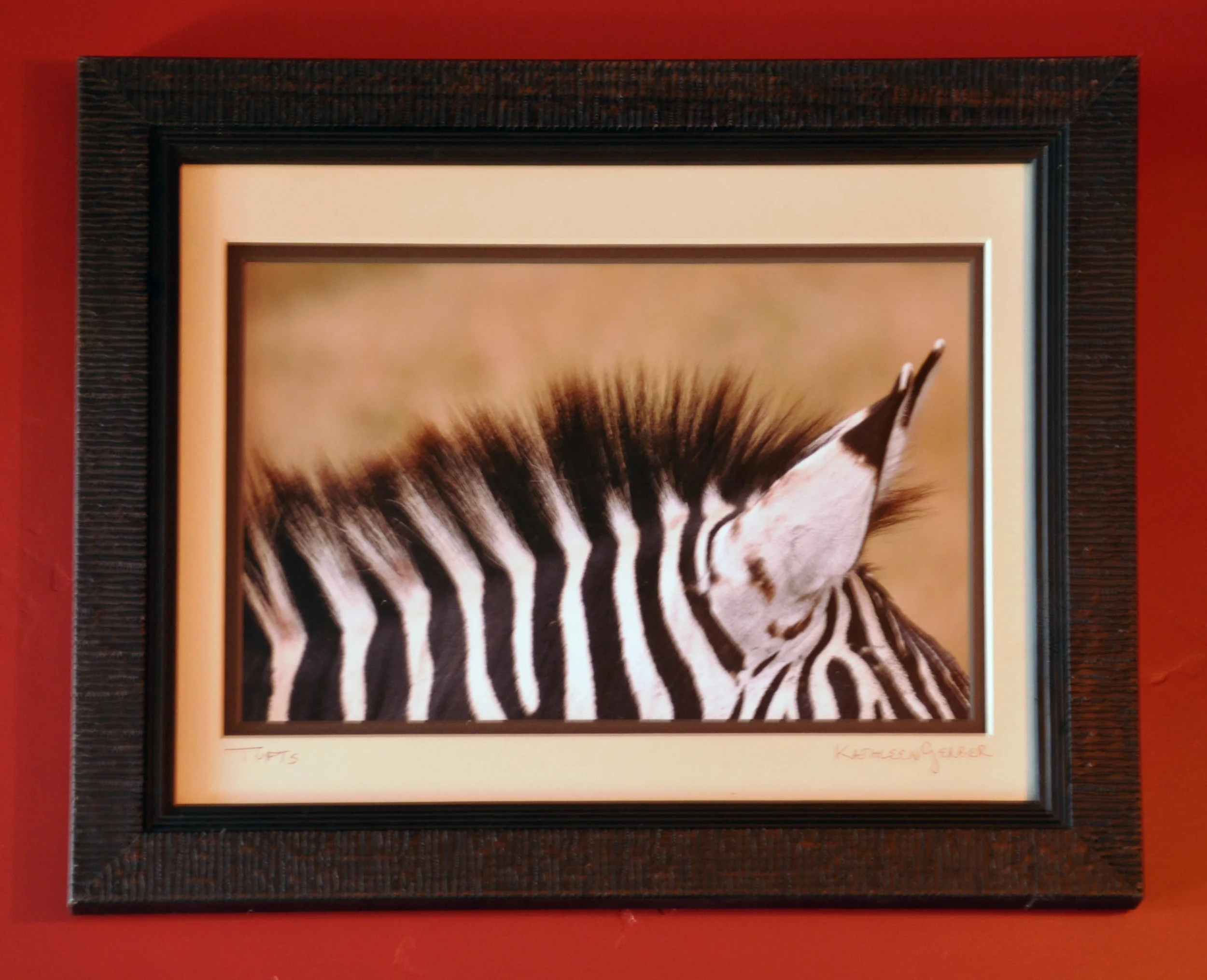 Tufts 11 x 14_edited-1-4.JPG