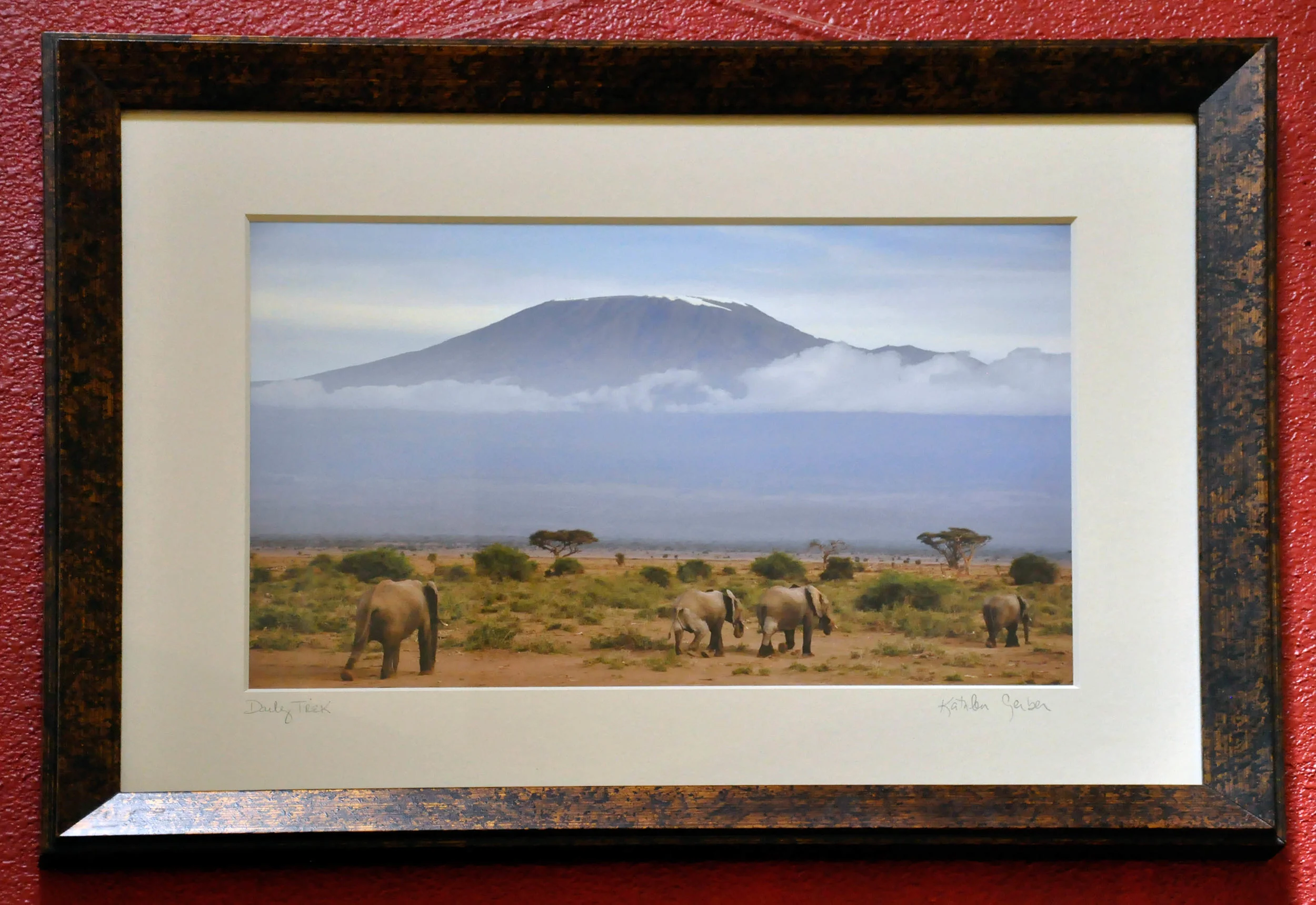 Daily Trek 18x24 red-23.JPG