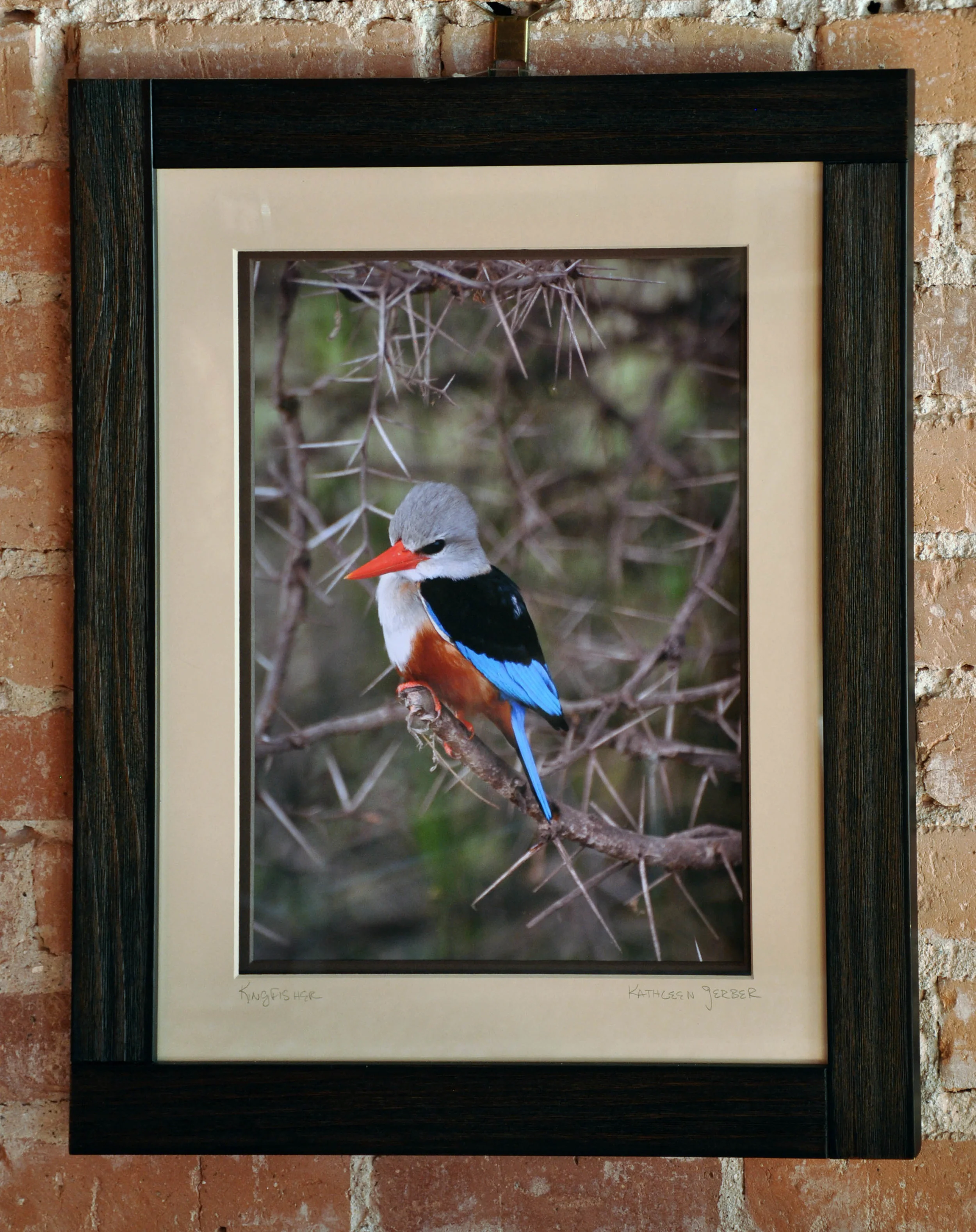 Kingfisher 16 x 20_edited-2-6.JPG