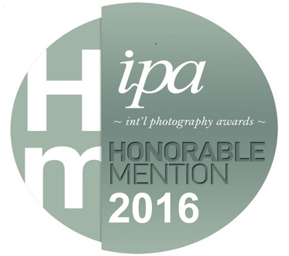 IPA 2016 HM logo.jpg