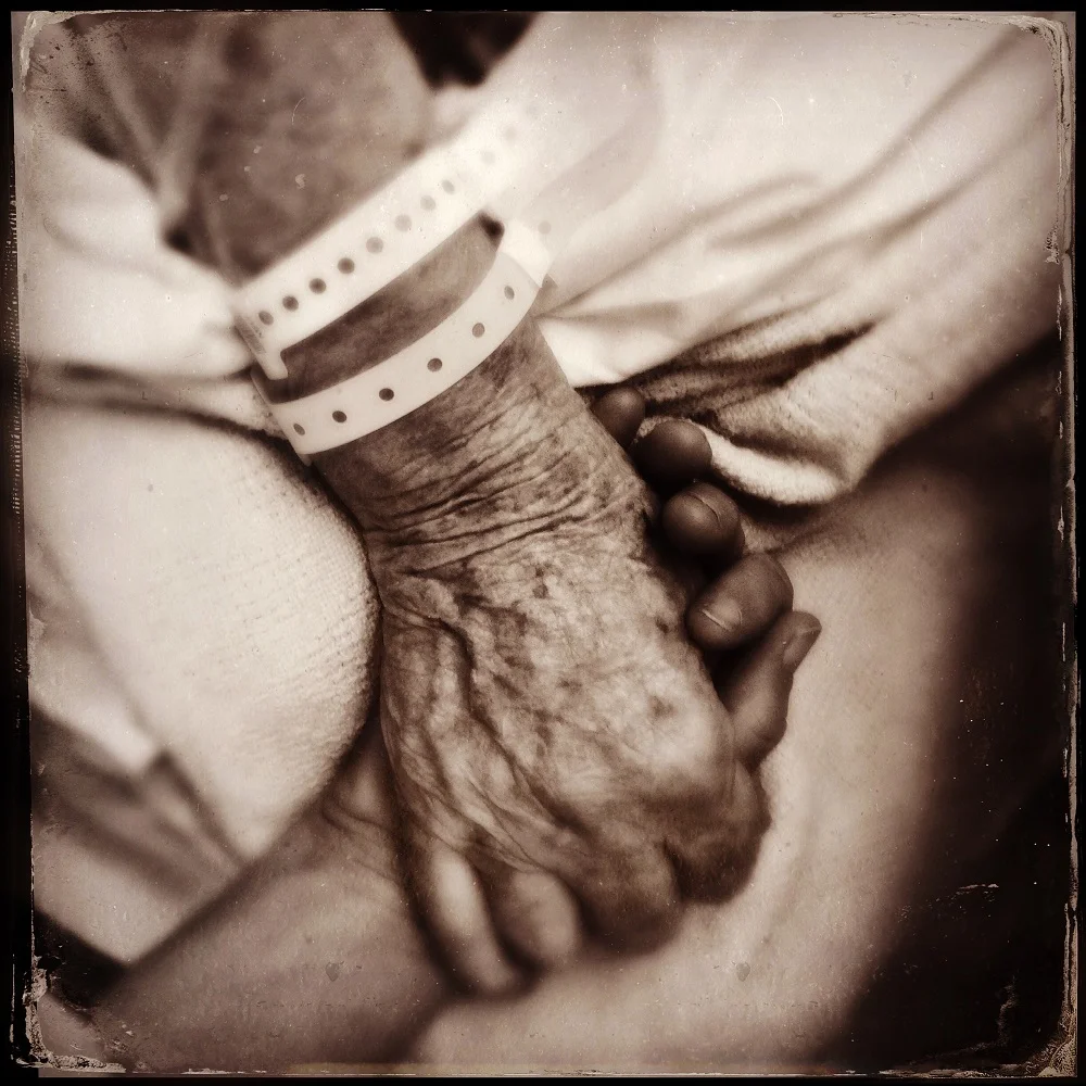 Gerber_Holding On Letting Go_1.jpg