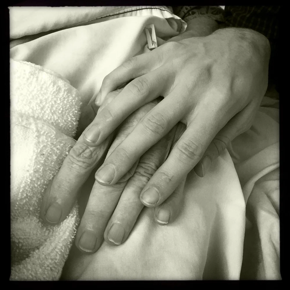 Gerber_Holding On Letting Go_3c.jpg