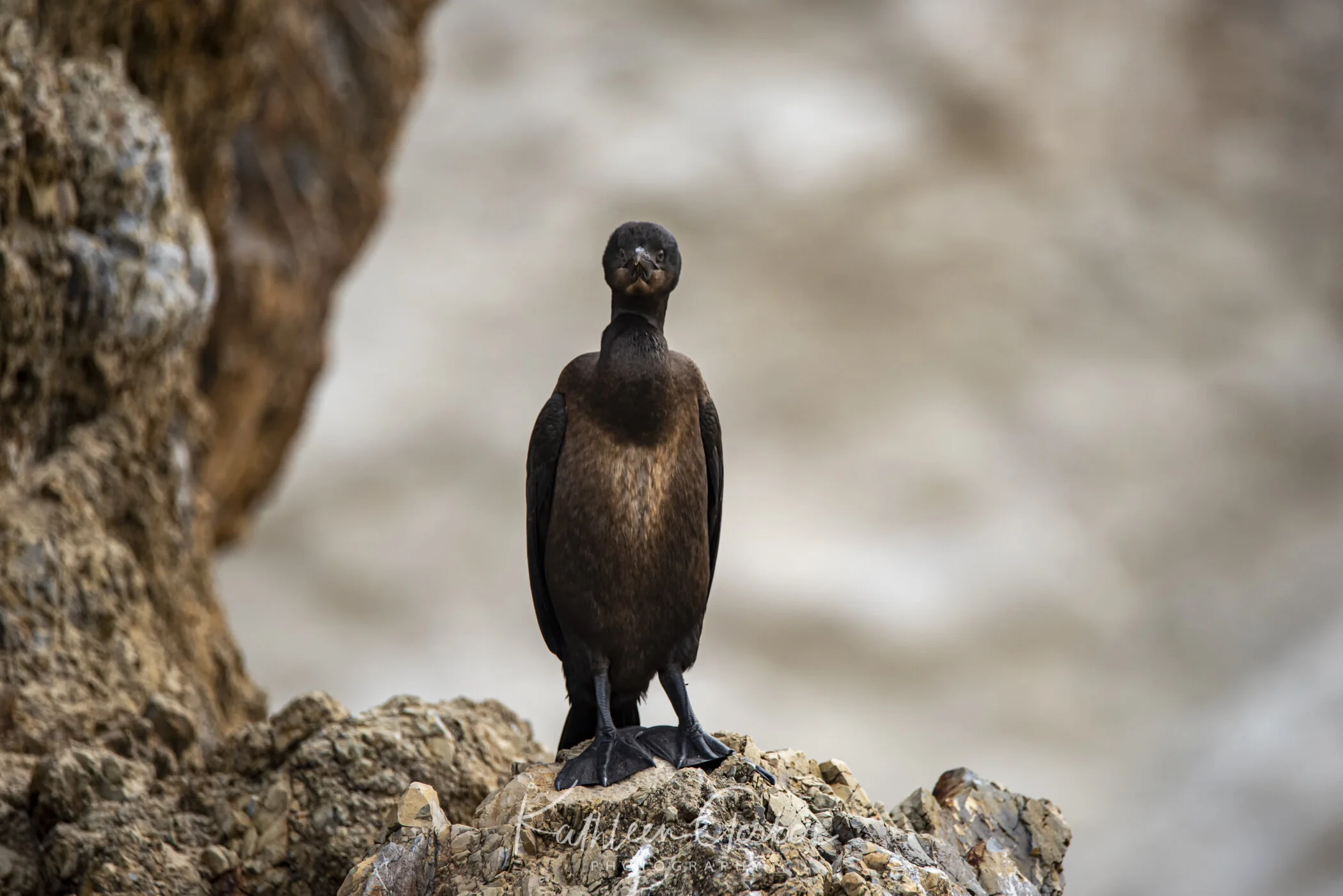 Kathleen Gerber--5.JPG