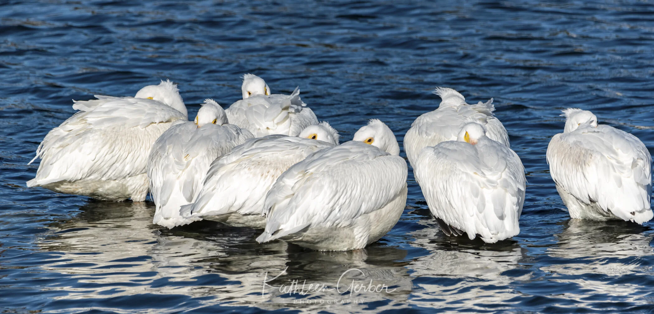 Kathleen Gerber--10.JPG