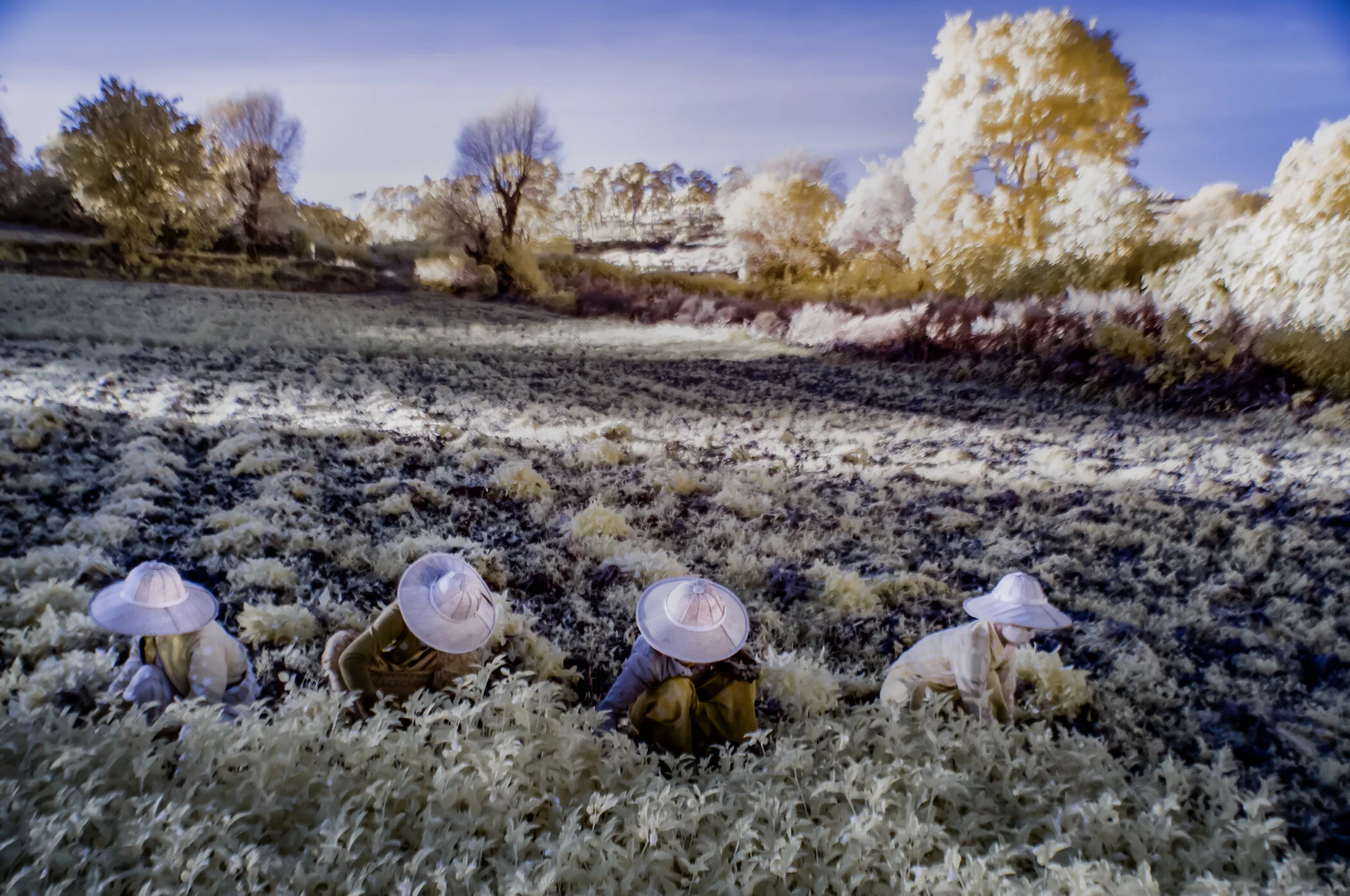 Kathleen_Gerber_Women in the Field.jpg