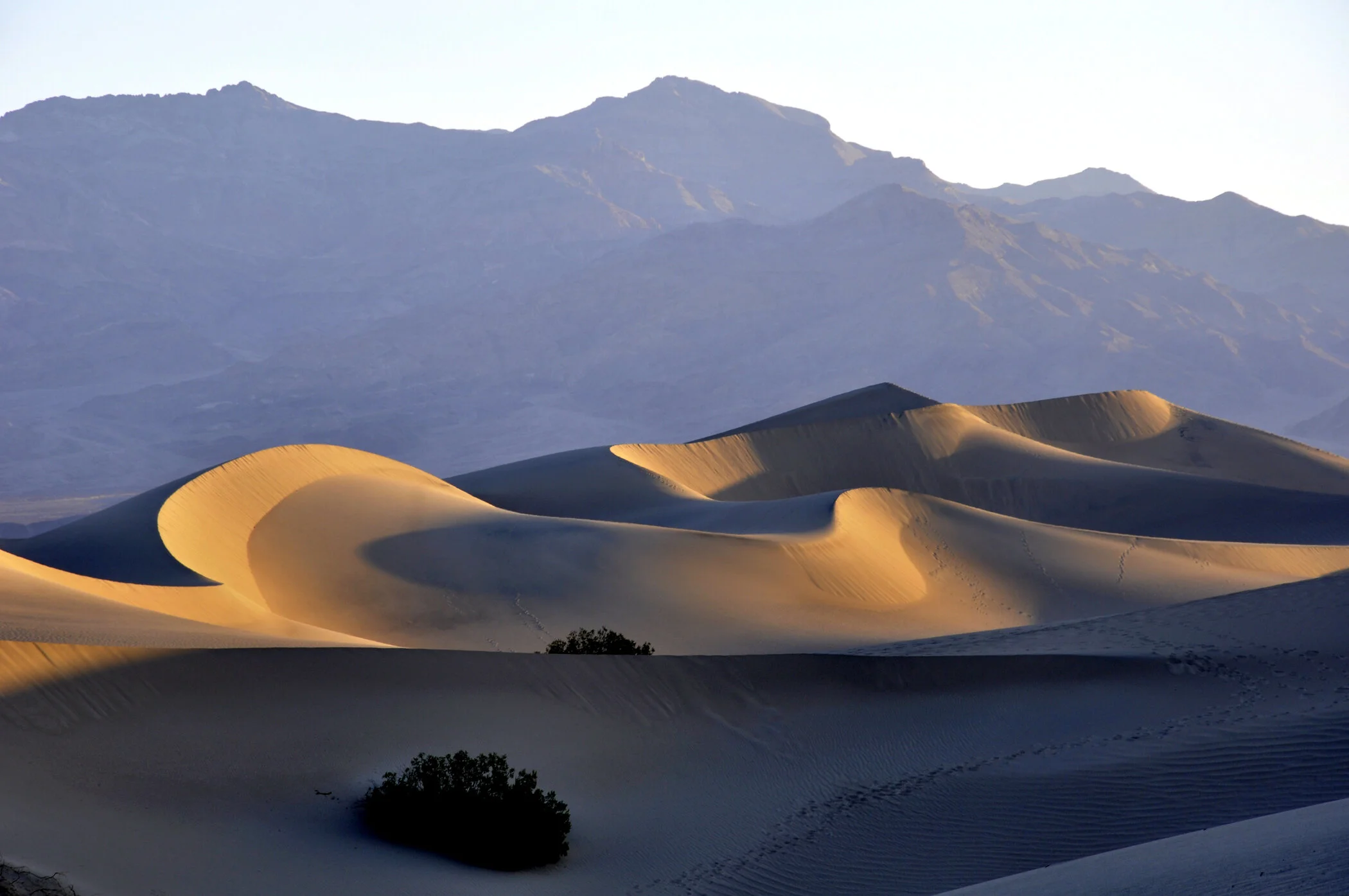 Kathleen Gerber _ Sinuous Dunes -Death Valley.JPG