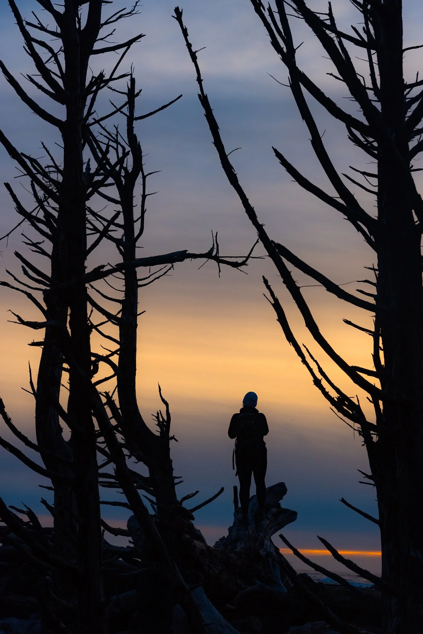 Kathleen Gerber_ Looking Outward.jpg