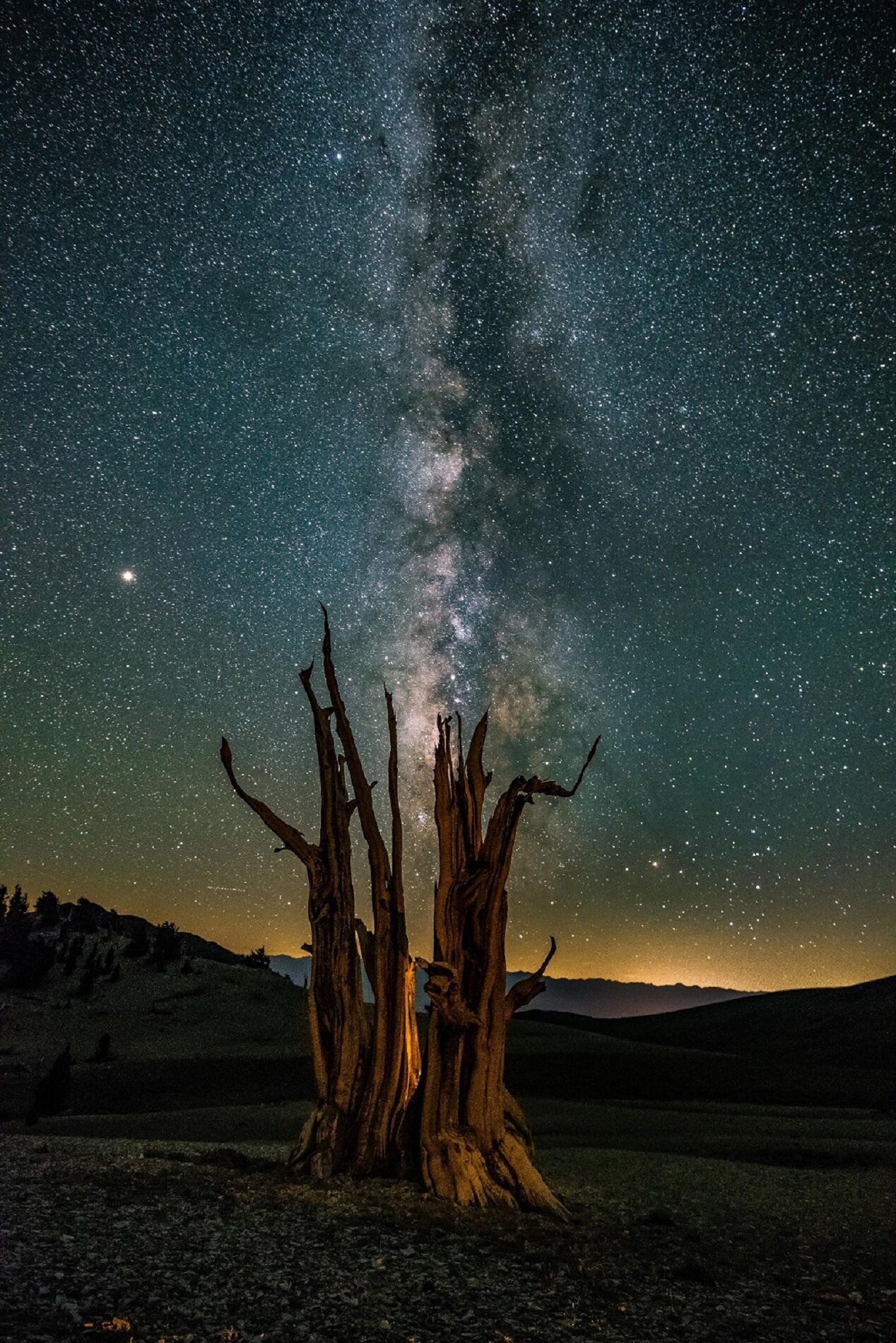 Astro Bisection_Kathleen_Gerber.jpg