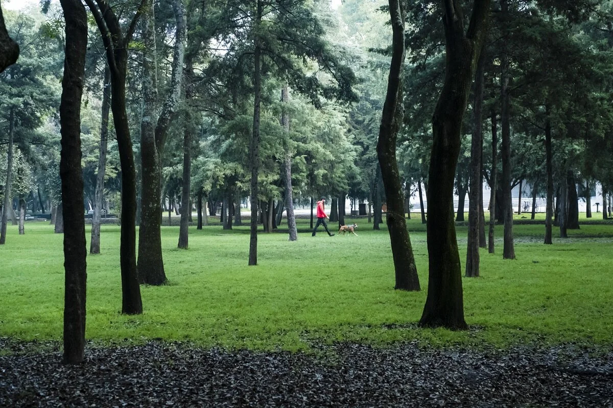 Kathleen_Gerber - 10.JPG