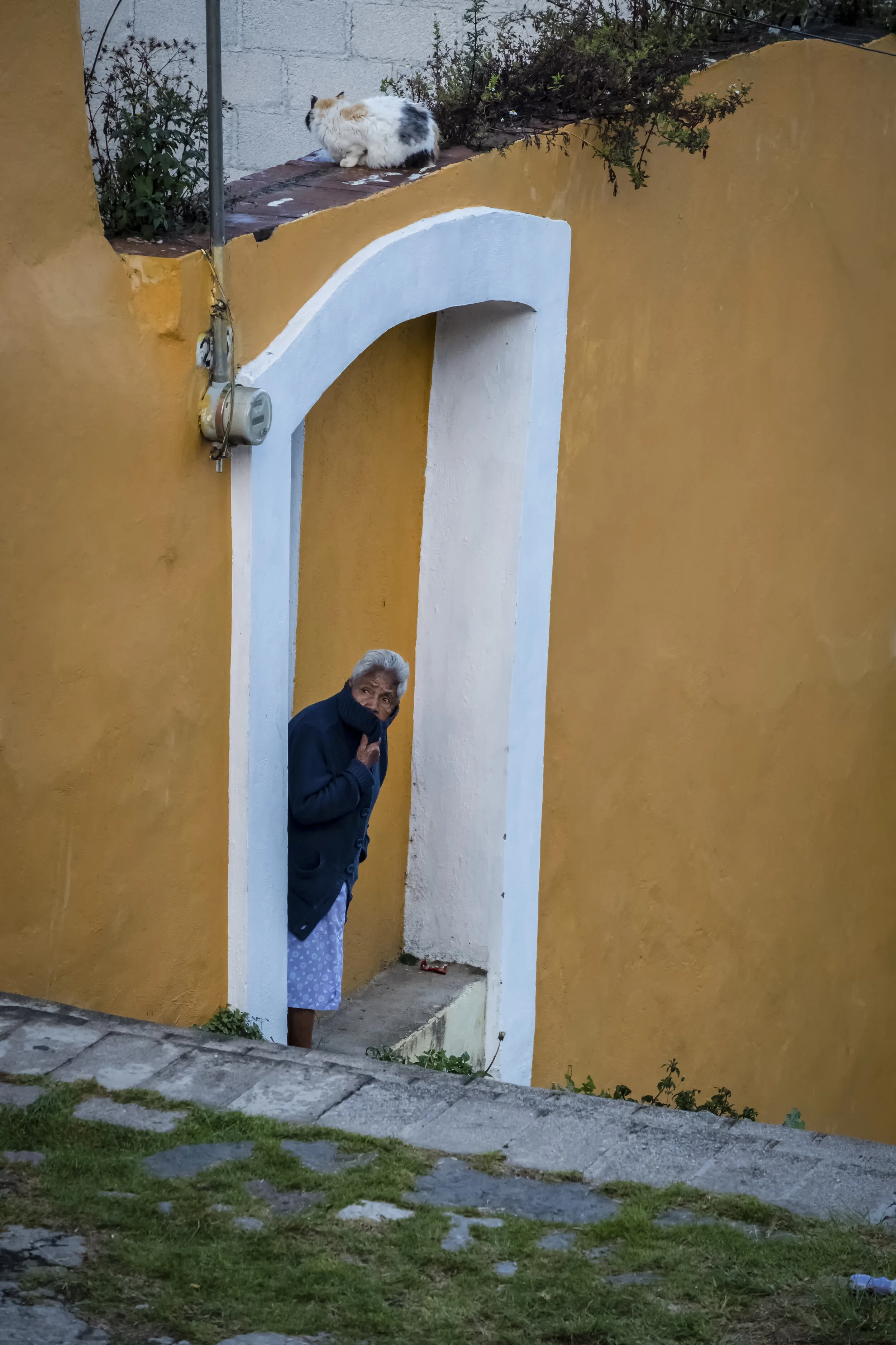 Kathleen Gerber - Just Checking -.JPG