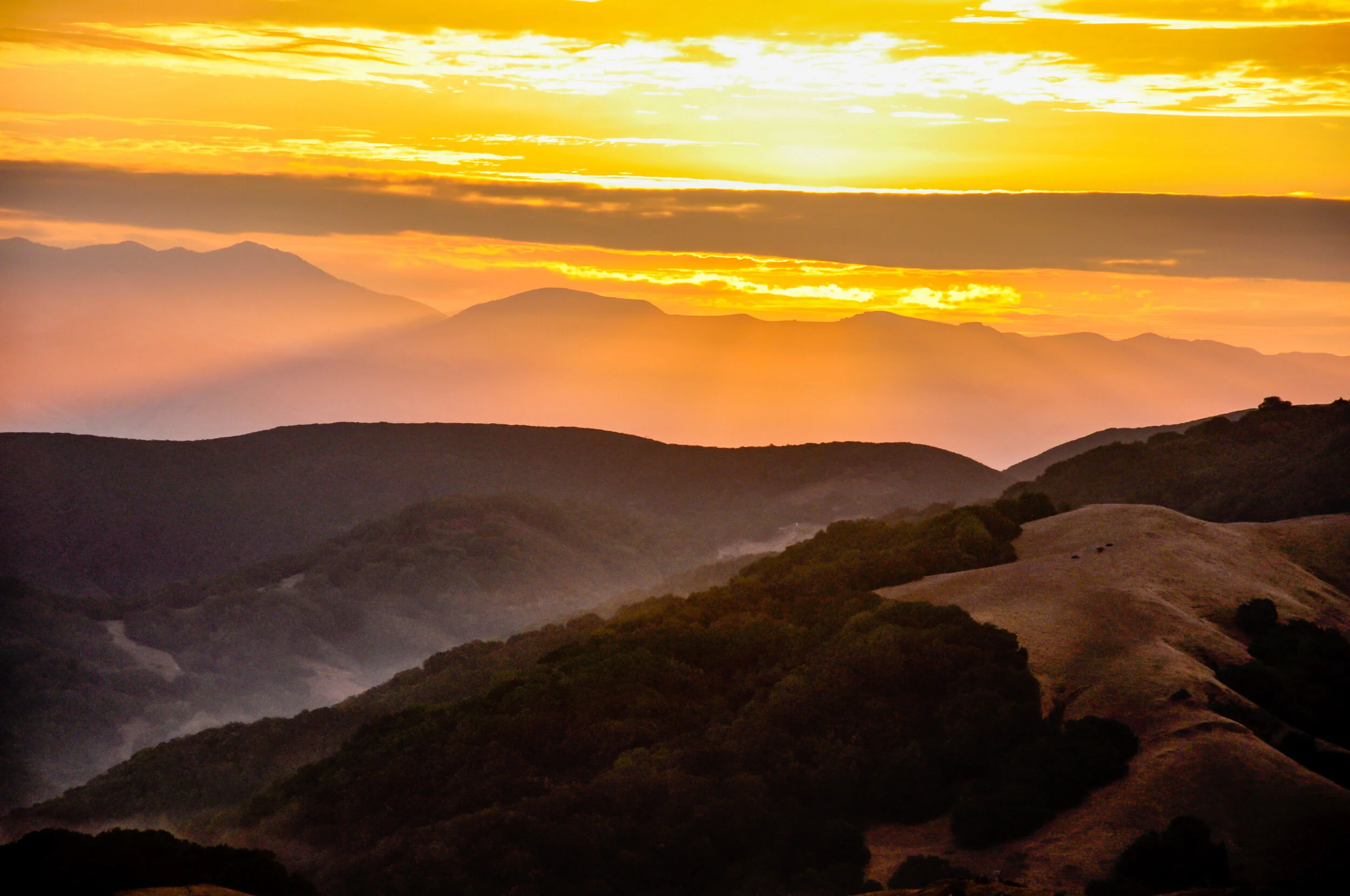 Kathleen Gerber-1-3.JPG