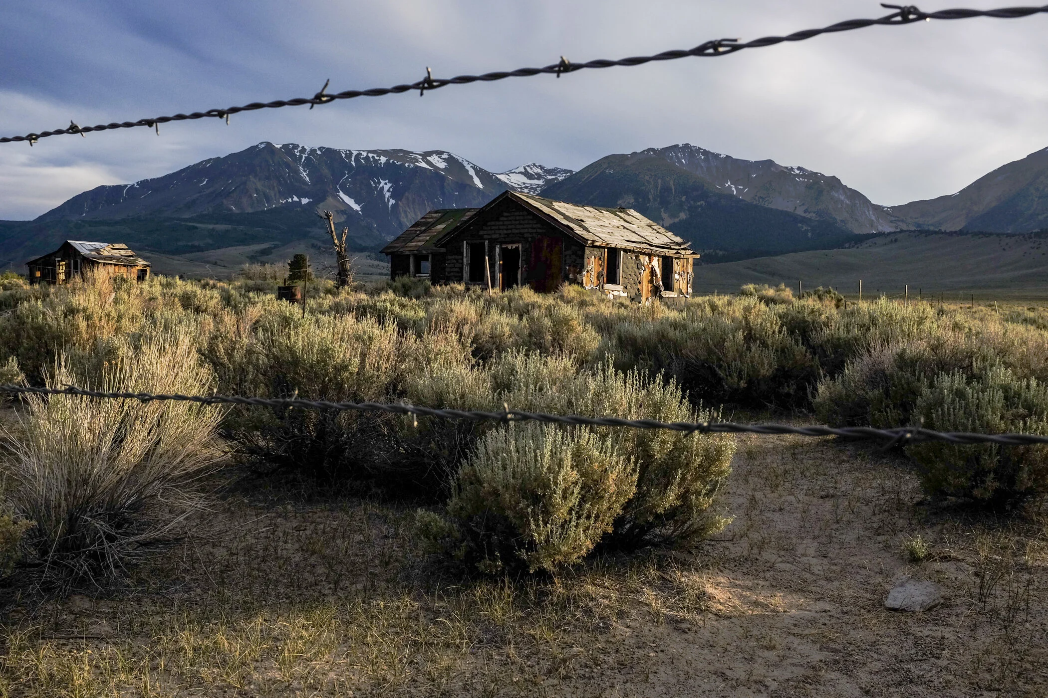 Kathleen Gerber 2014 Mono Lake--6.JPG