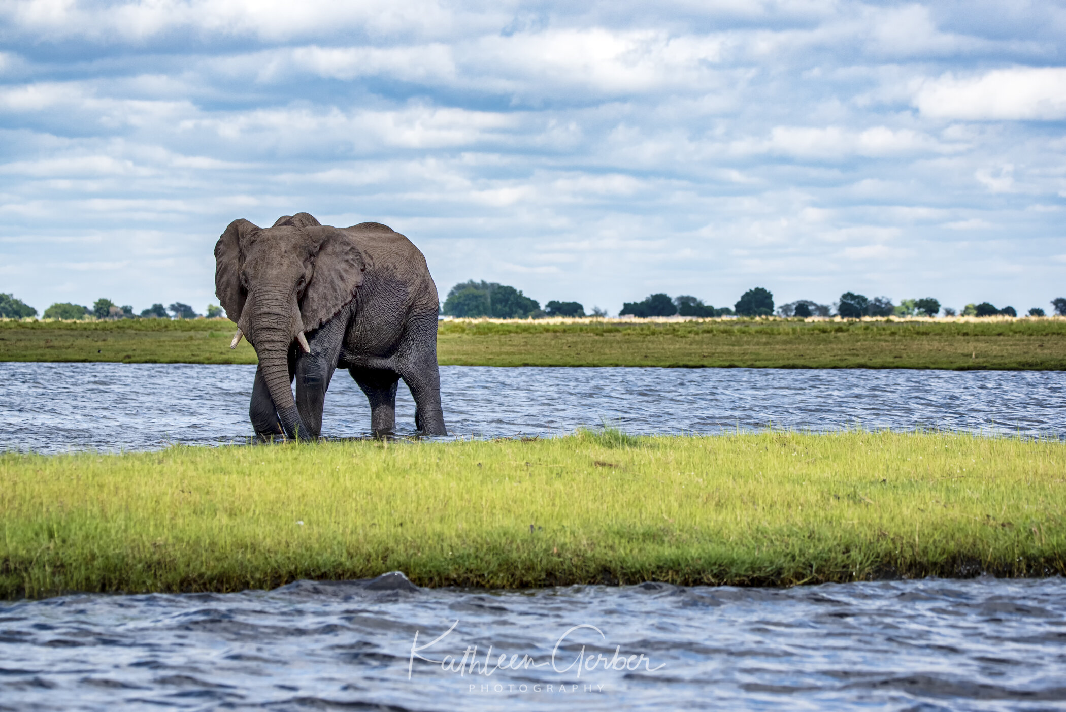 Kathleen Gerber - Botswana--5.JPG