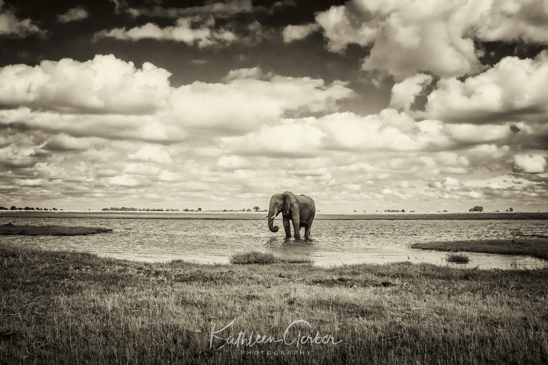 Kathleen Gerber - Botswana--2.JPG