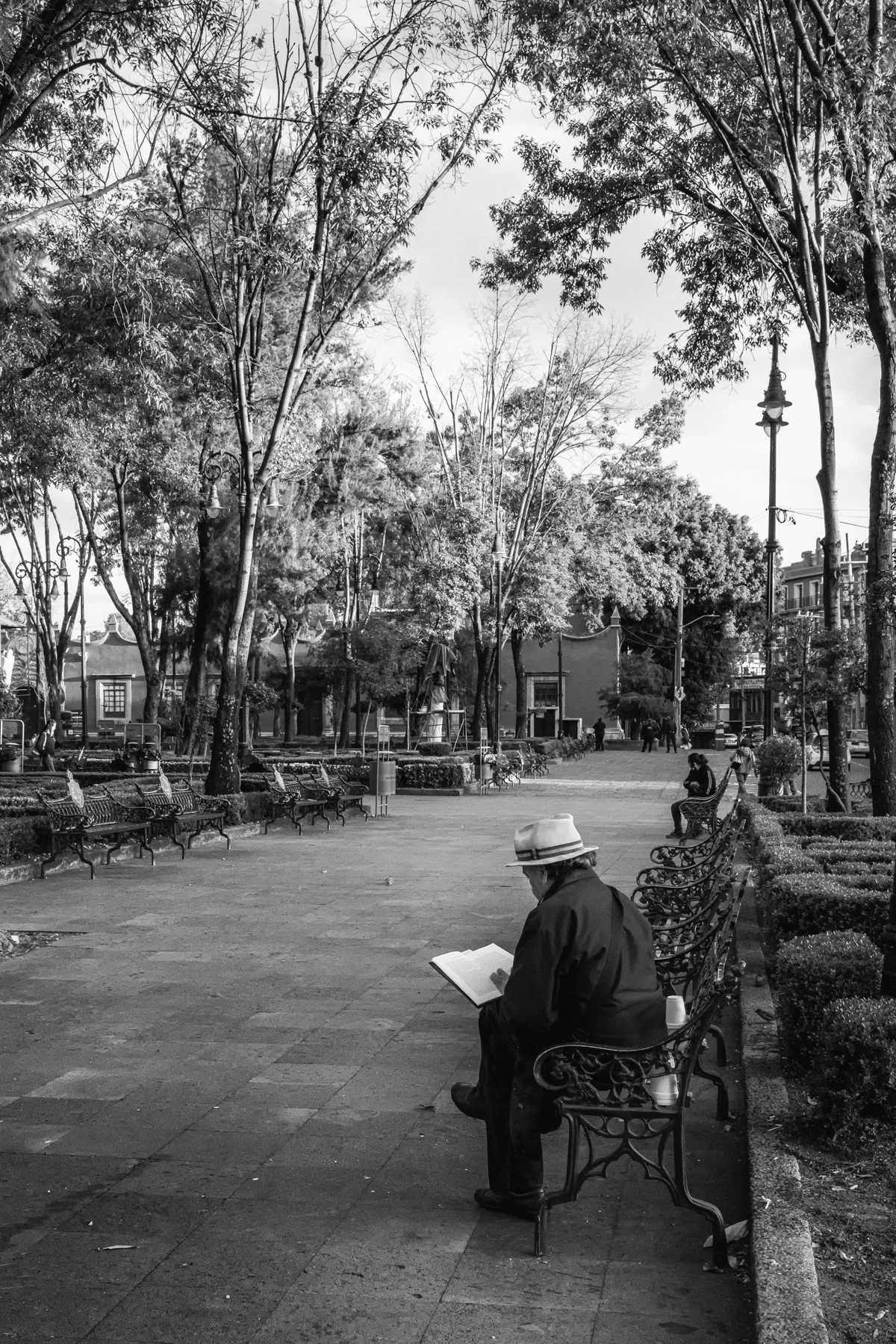 Morning Reader, Coyoacan 