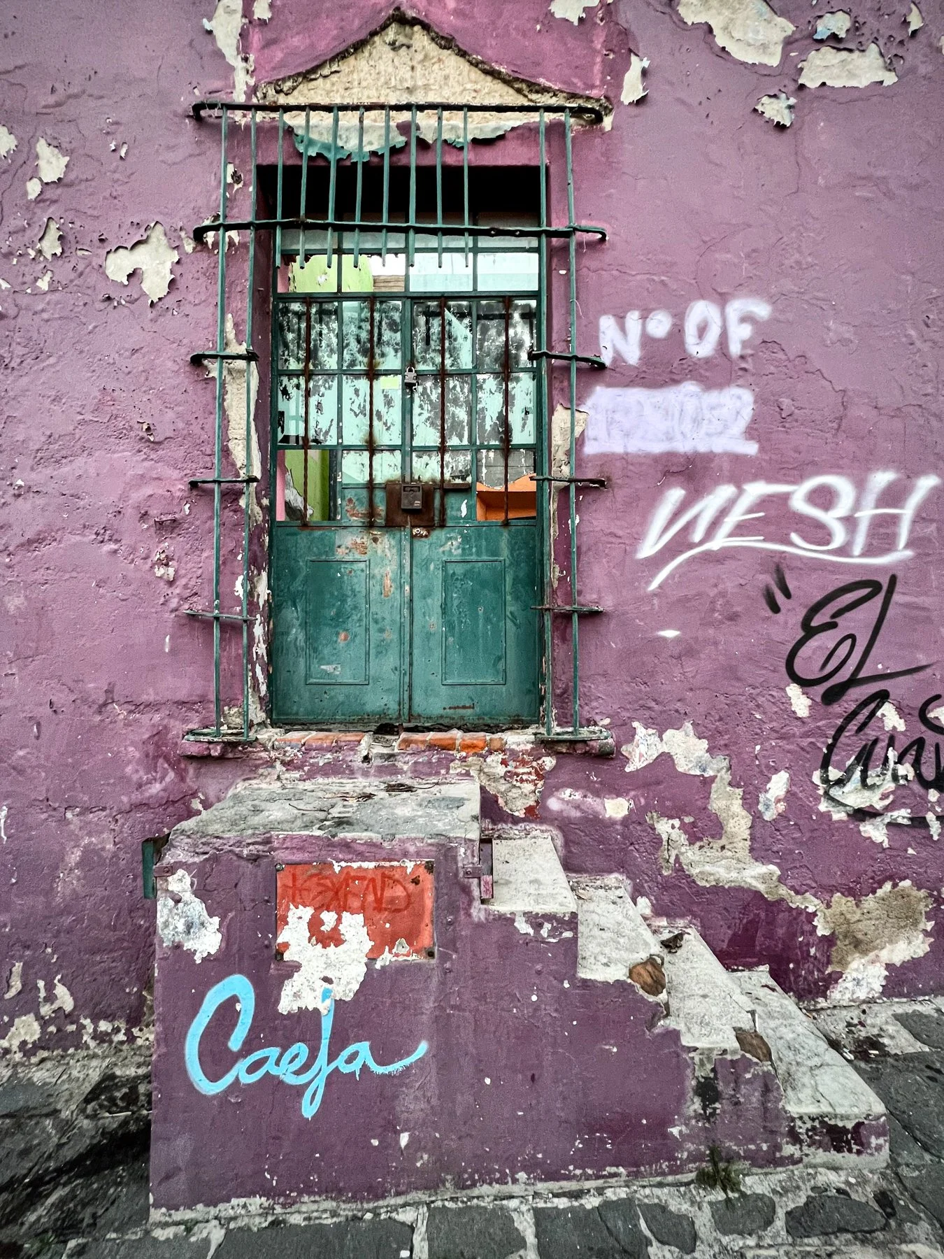 Puebla City Doorways 1