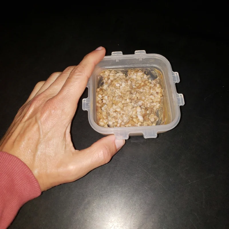 oats.jpg