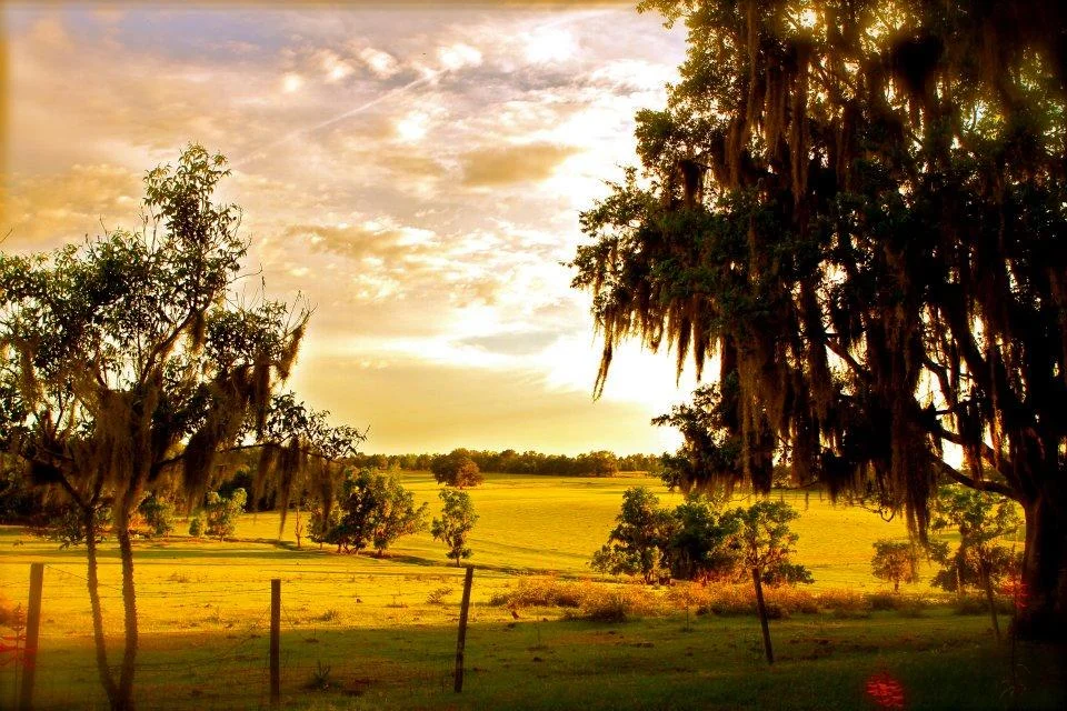 Farm To Table Dinner with Teresa Callen