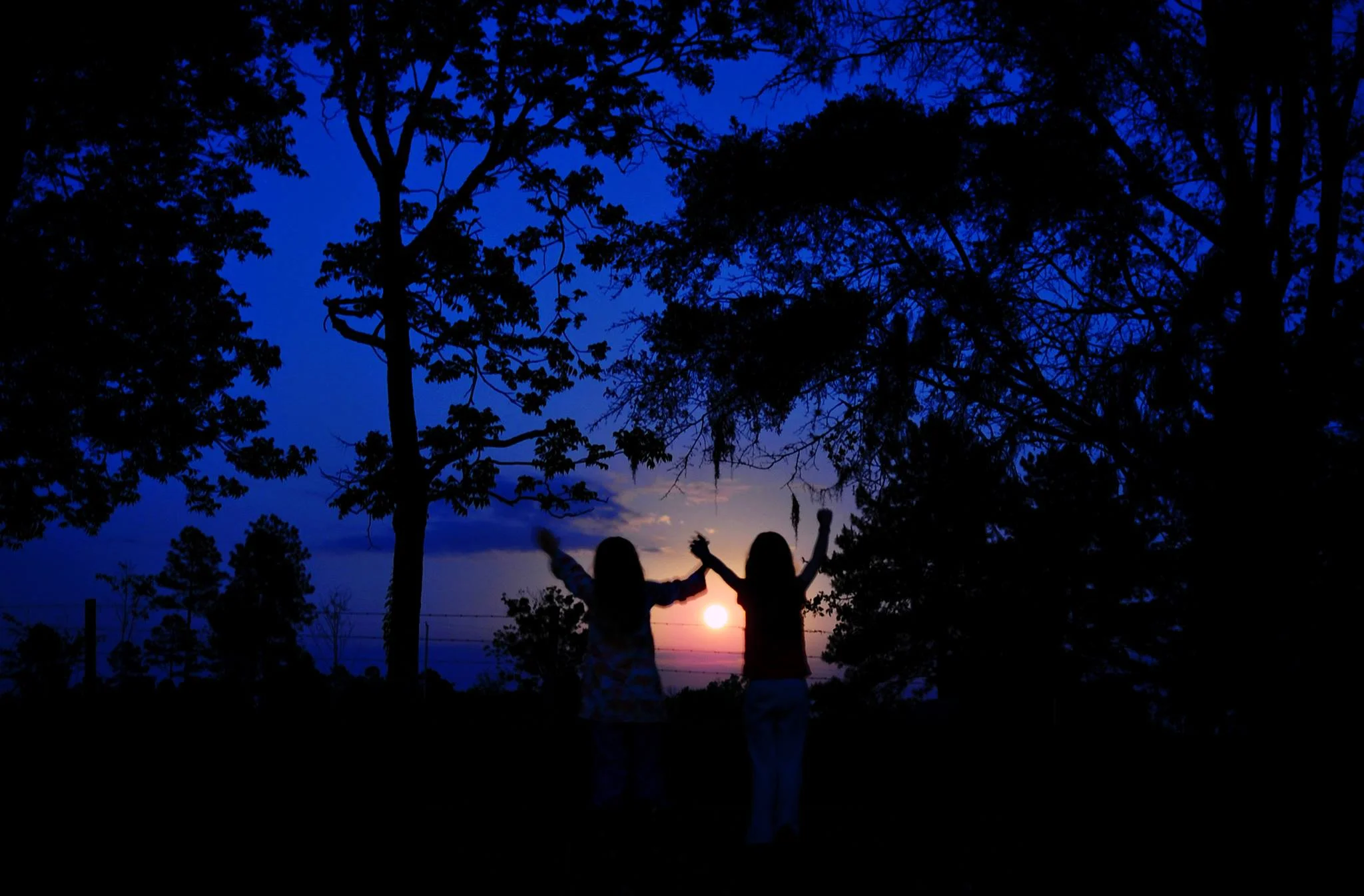 Swallowtail Farm Fall Festival