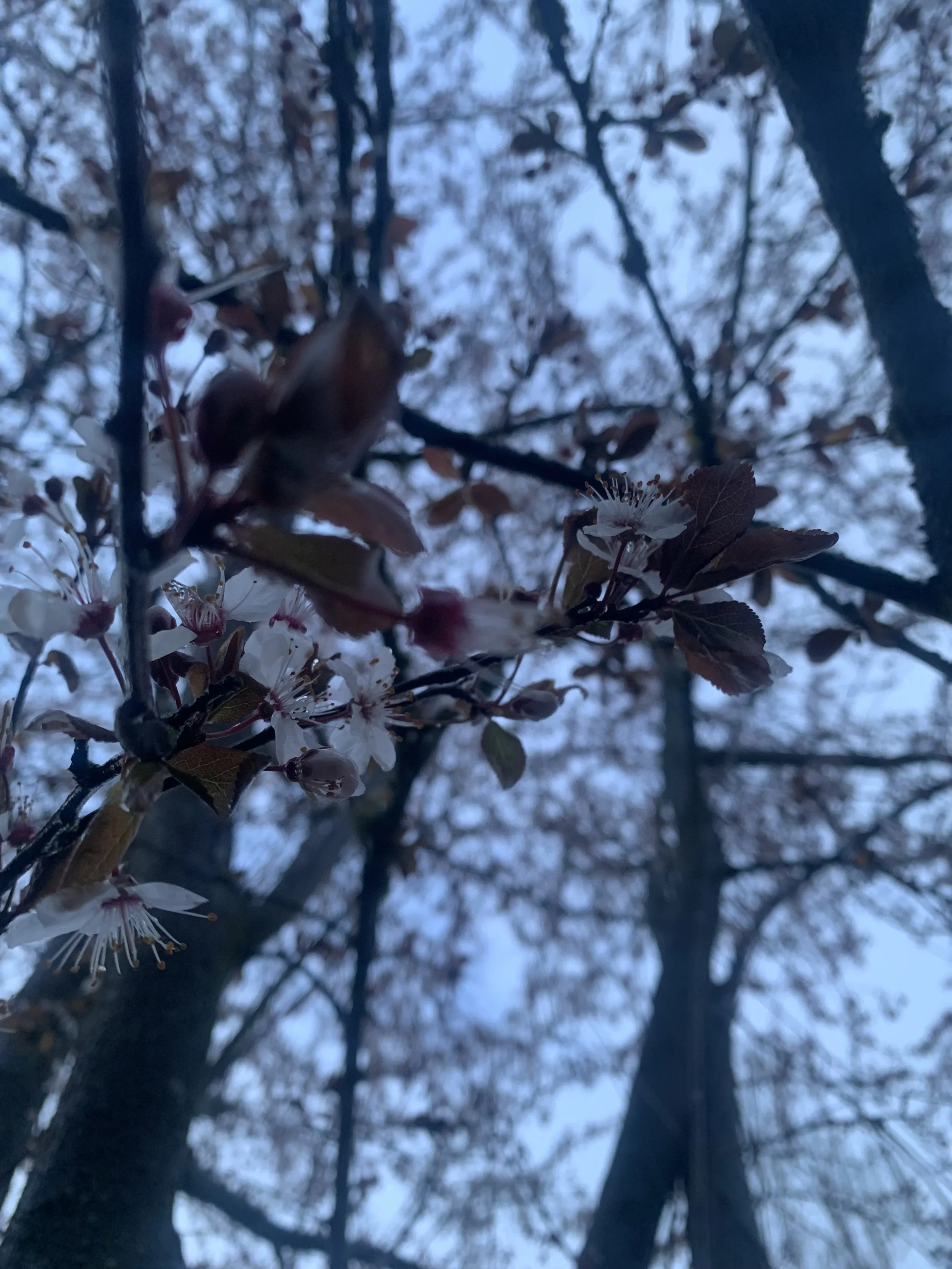 Notes from March 2025/5785