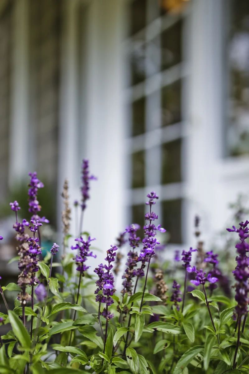 Farmhouse Pottery // Woodstock, VT (Act II)