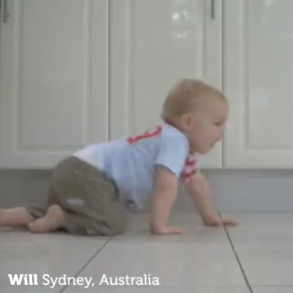 Pampers Digital