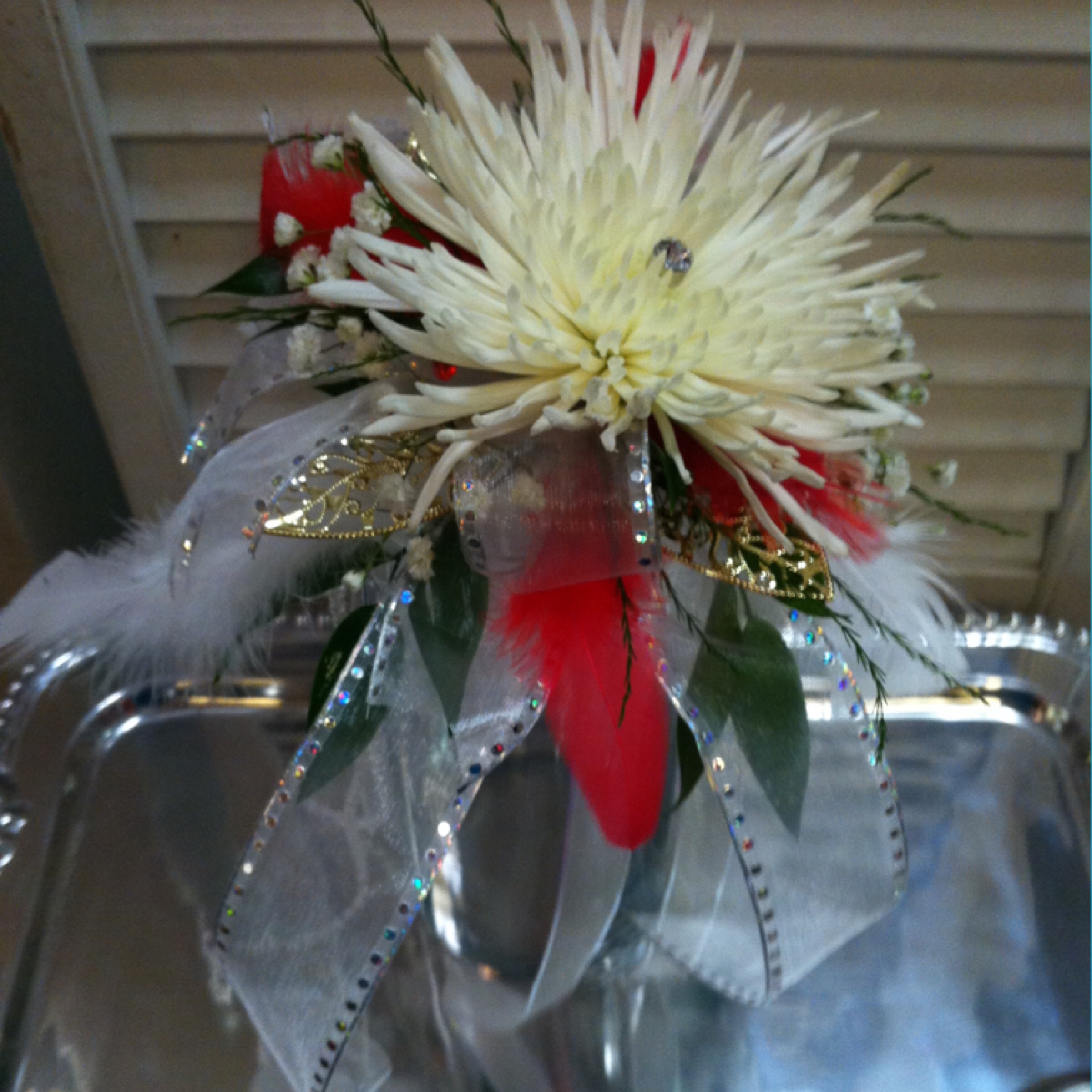 IMG_0186.jpeg