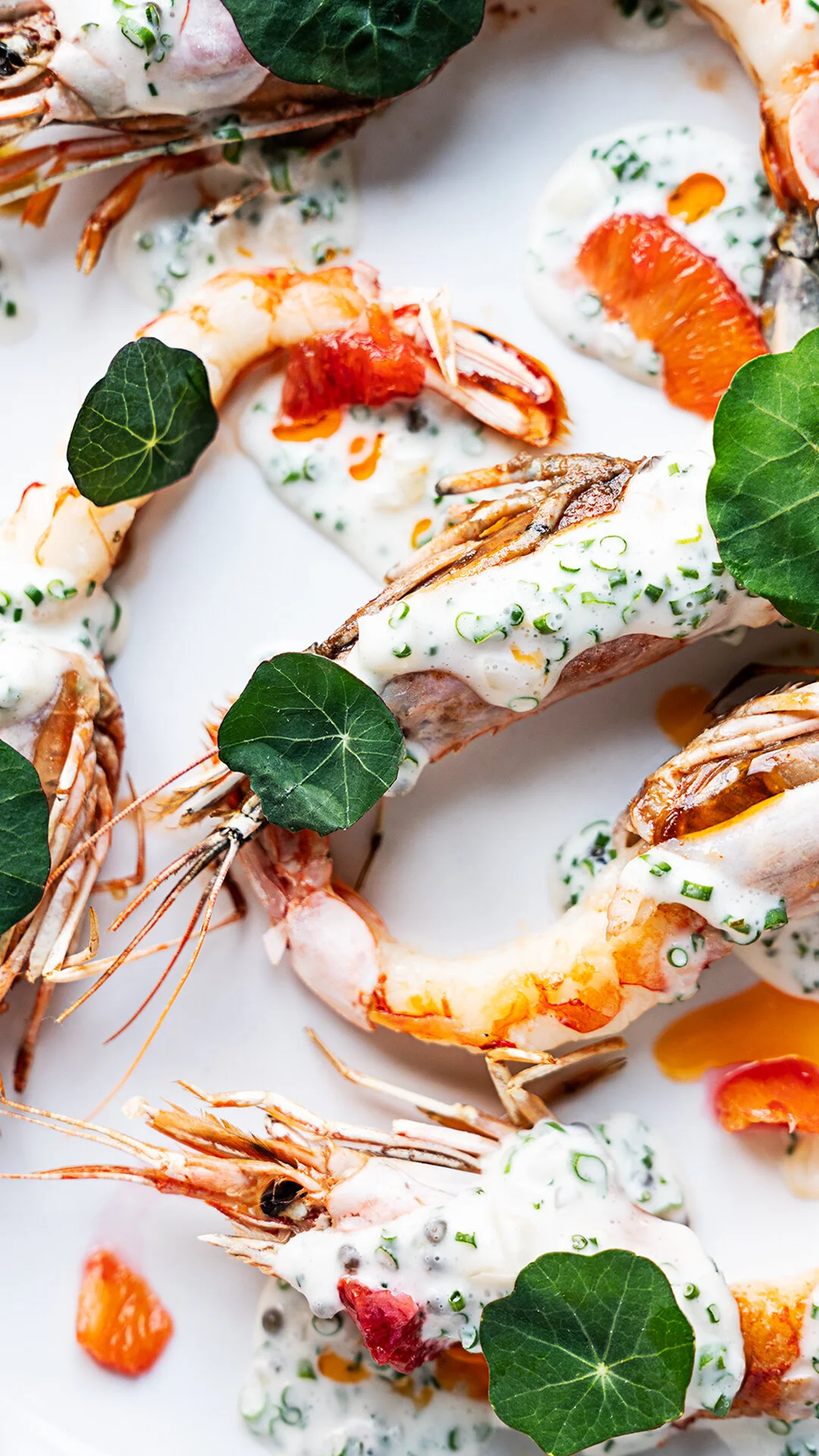 Gf_fullbleed_story_prawn.jpg