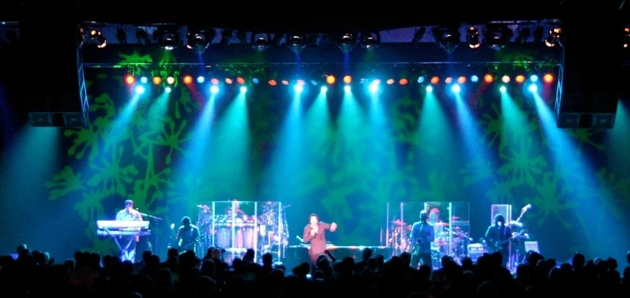 SCDesign live concerts 1.jpg