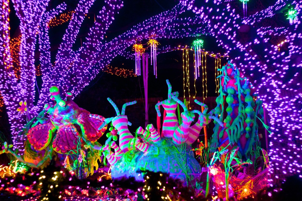 Houston Zoo Lights Lonnie Hanzon