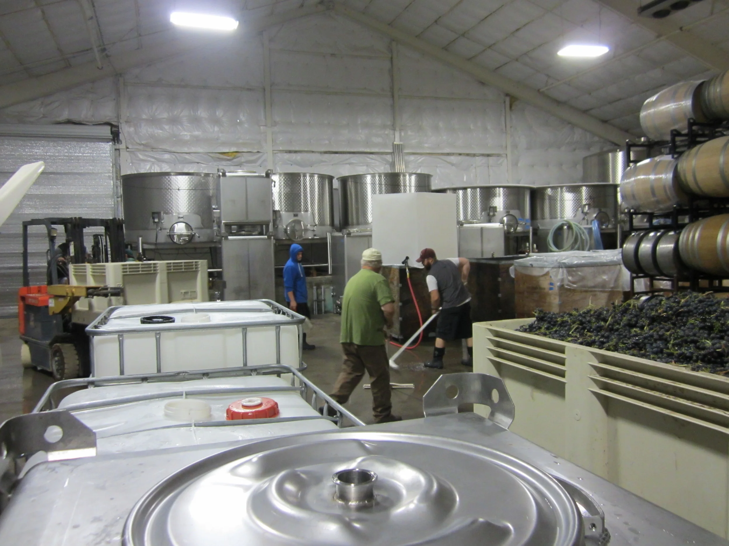 Cellar shot