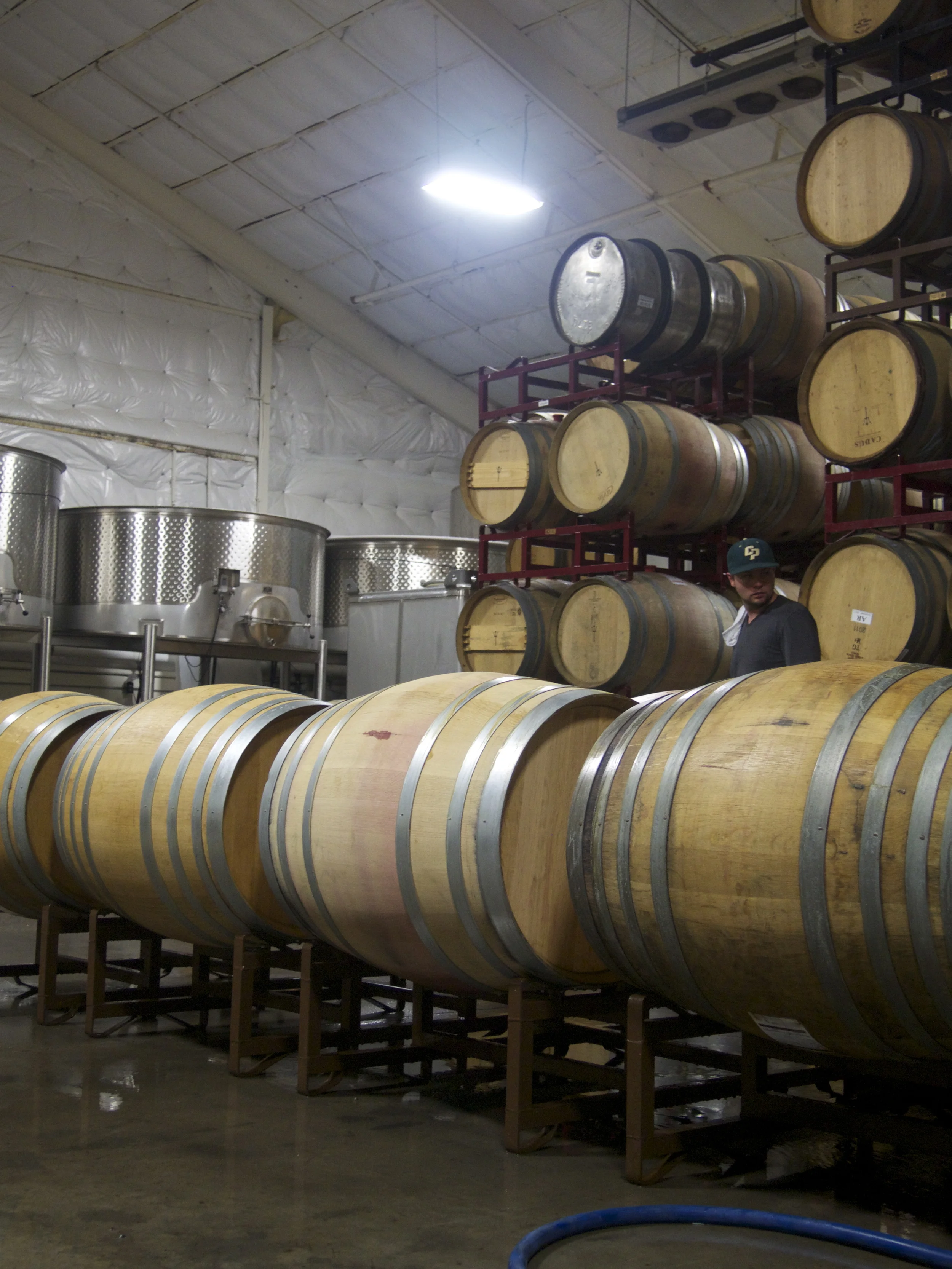 Cellar shot