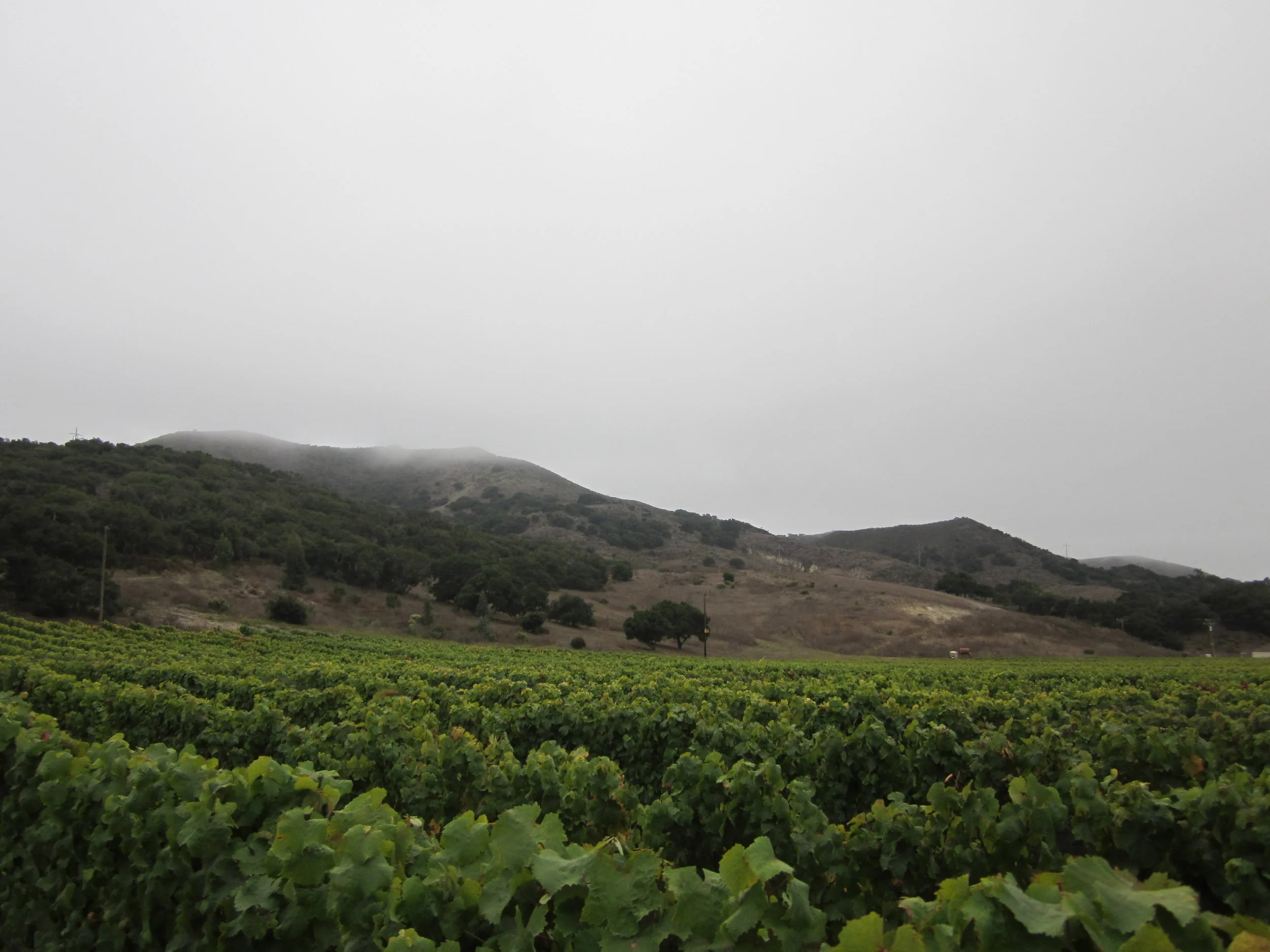 Pics uploaded 12.14.10 085.JPG