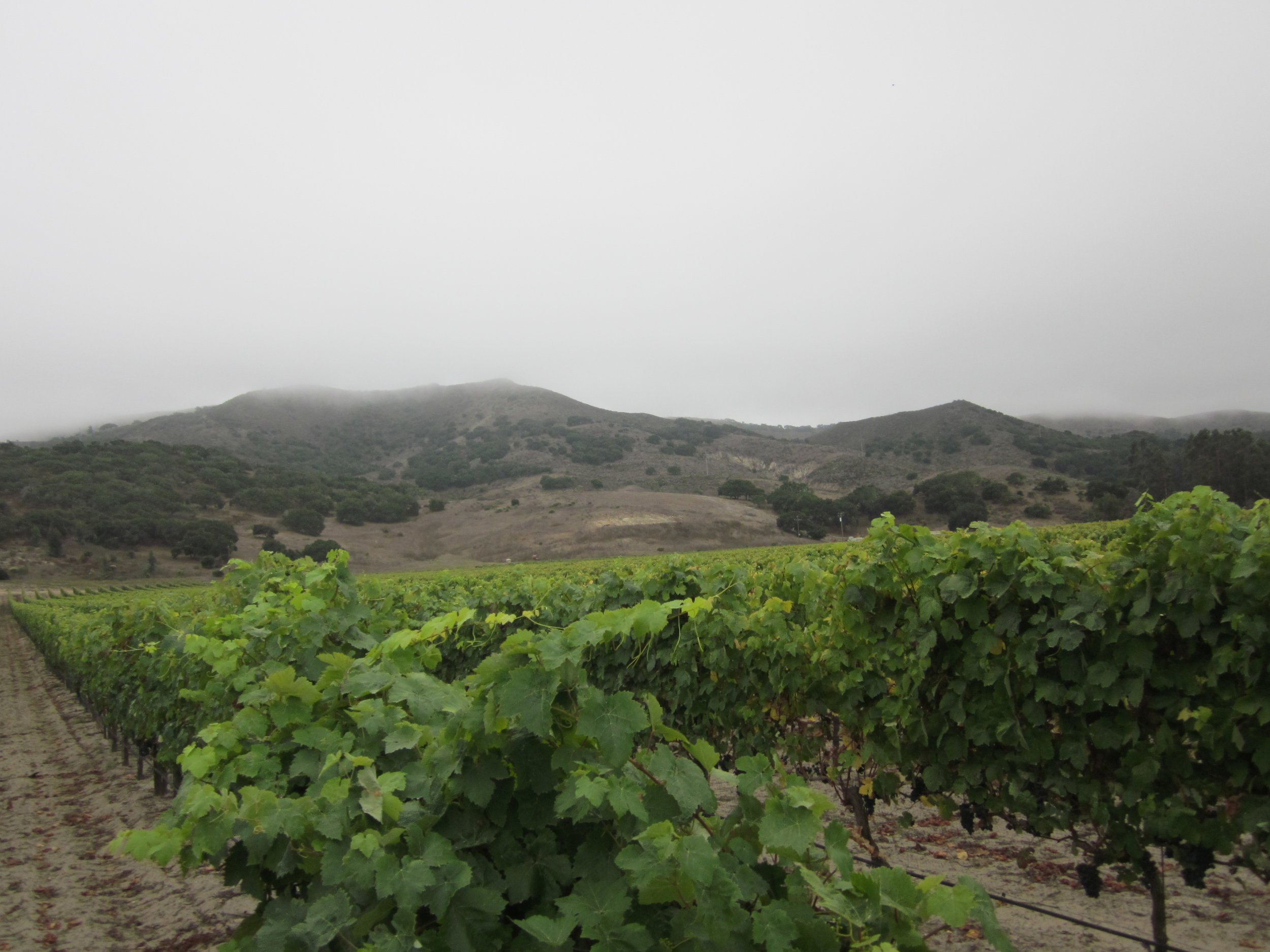 Pics uploaded 12.14.10 075.JPG