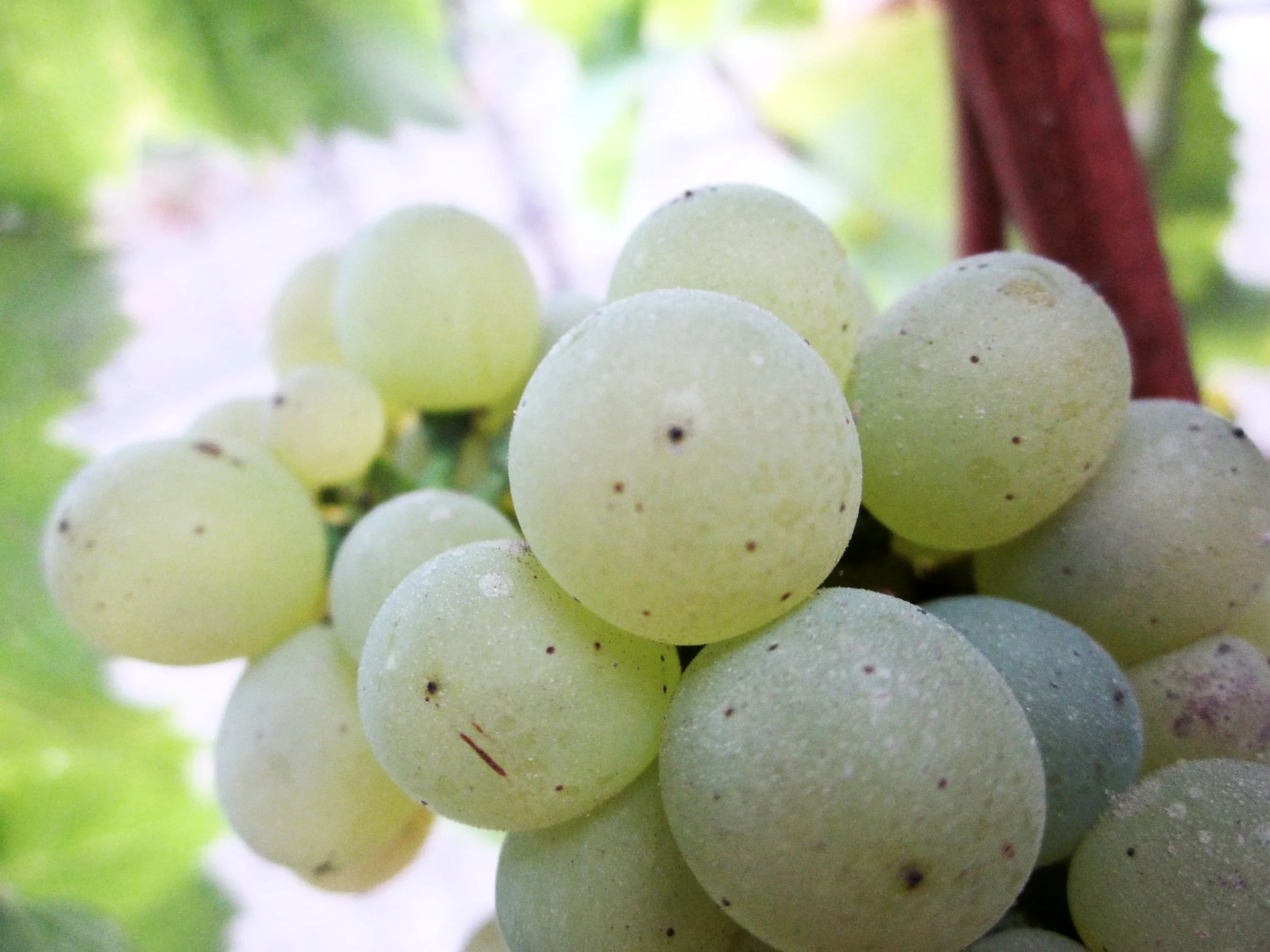 Pics uploaded 12.14.10 128.JPG