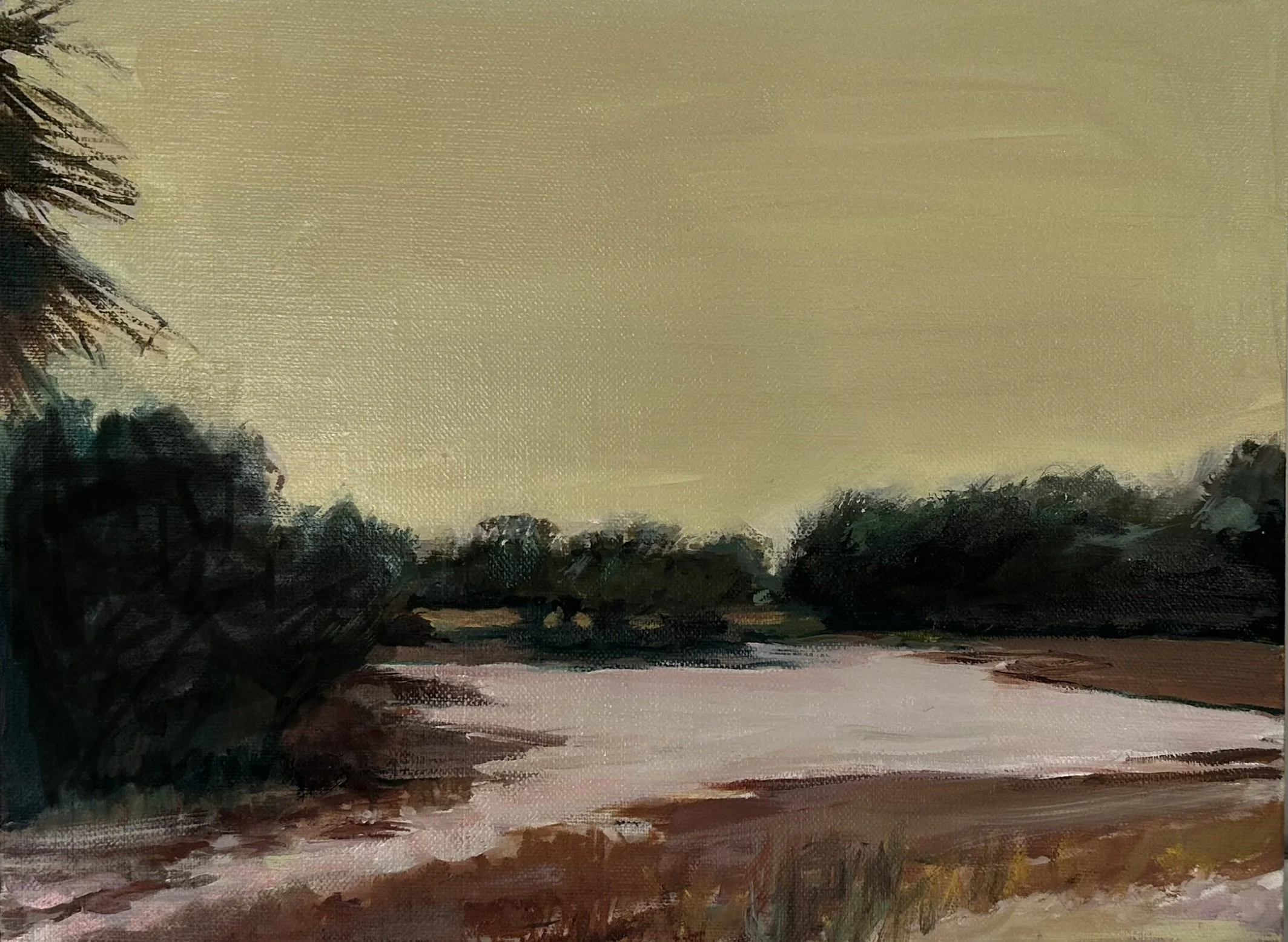 Pinckney in Winter