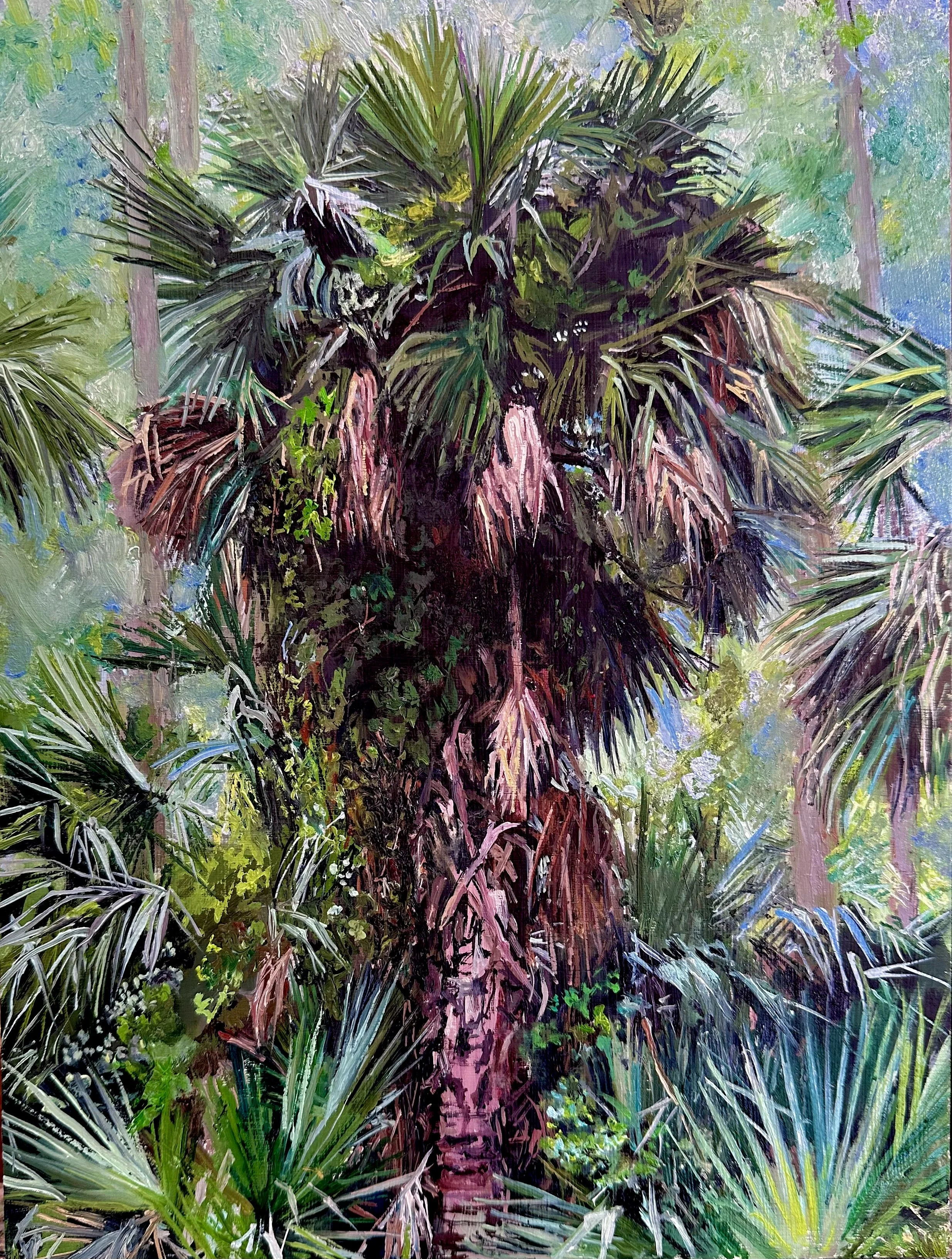 Pinckney Palm