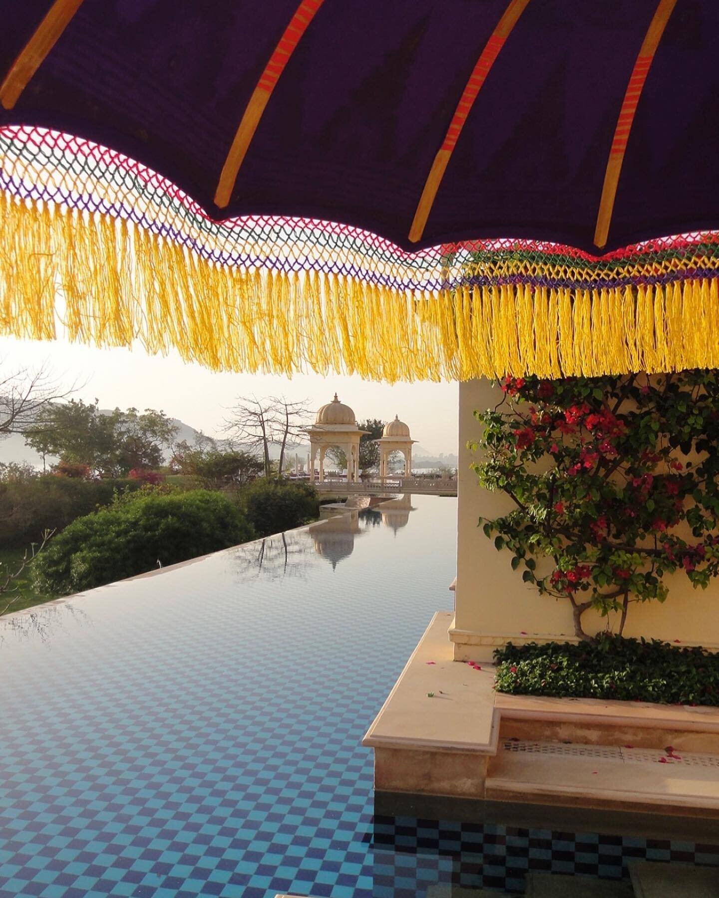 Udaipur, India, it&rsquo;s been way too long. Time to return! #pooldesign #blue #umbrellas  #textilesofindia #buying trips #lakepichola