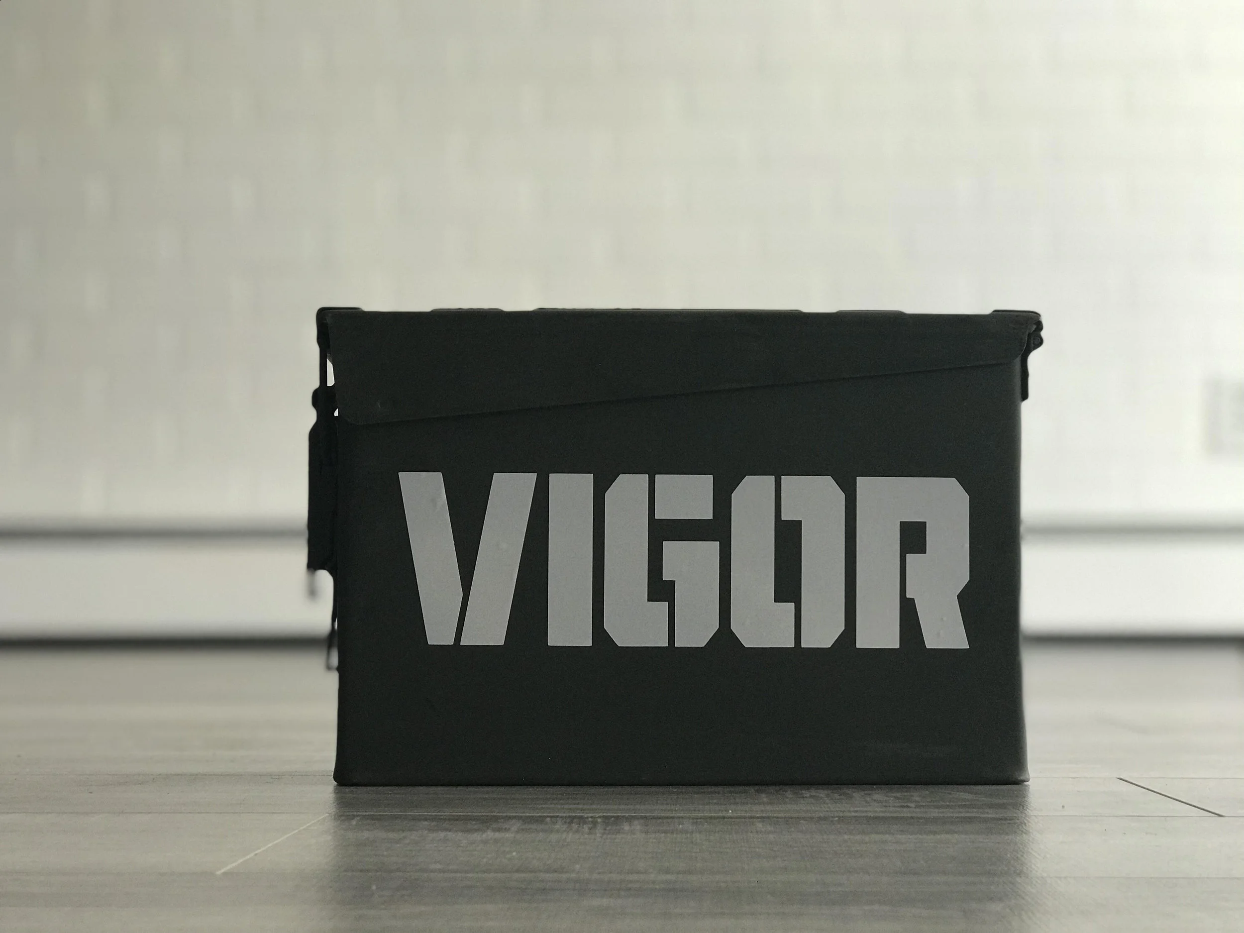 vigor.jpg