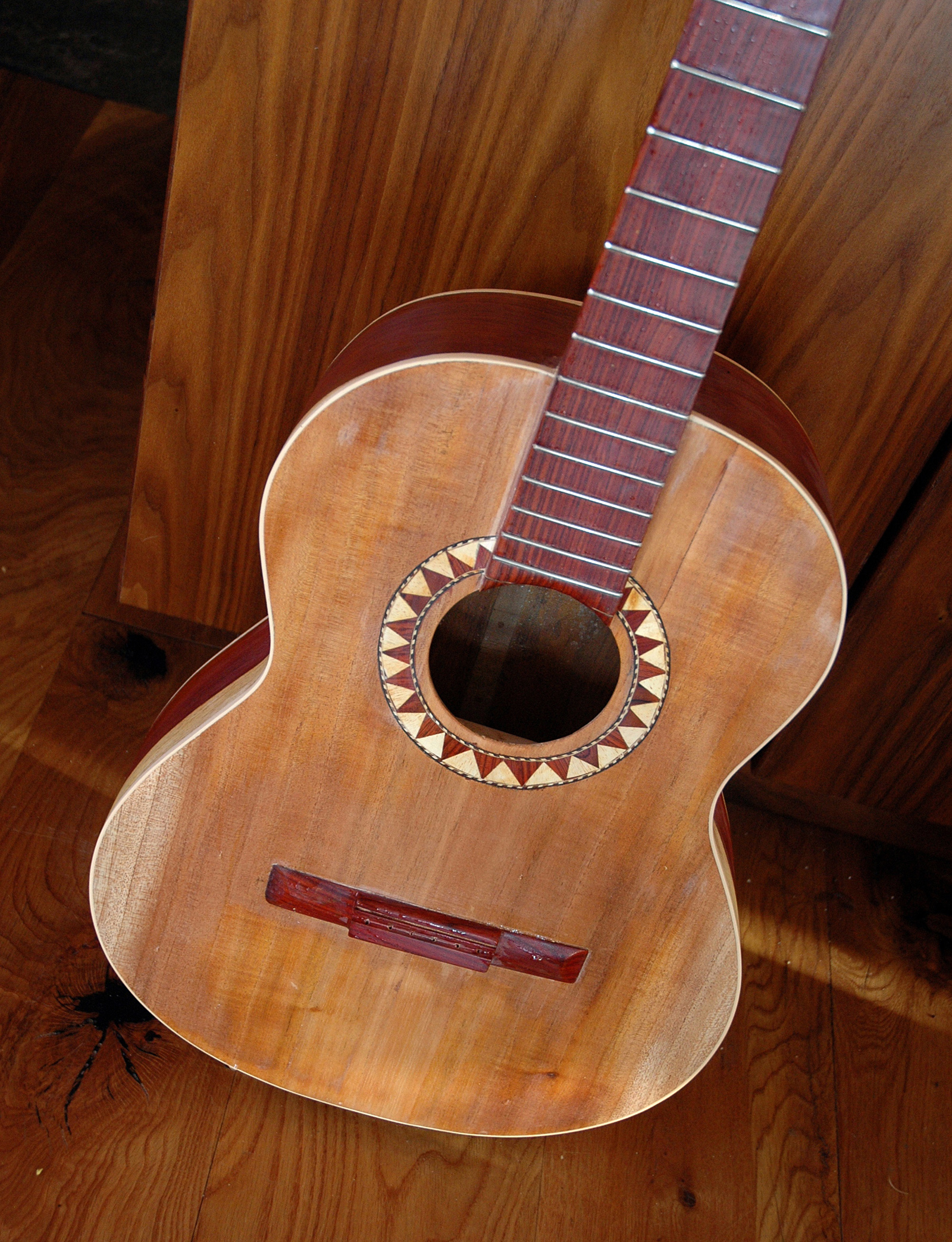 Daniel Haarburger-Cocobolo Guitar.jpg