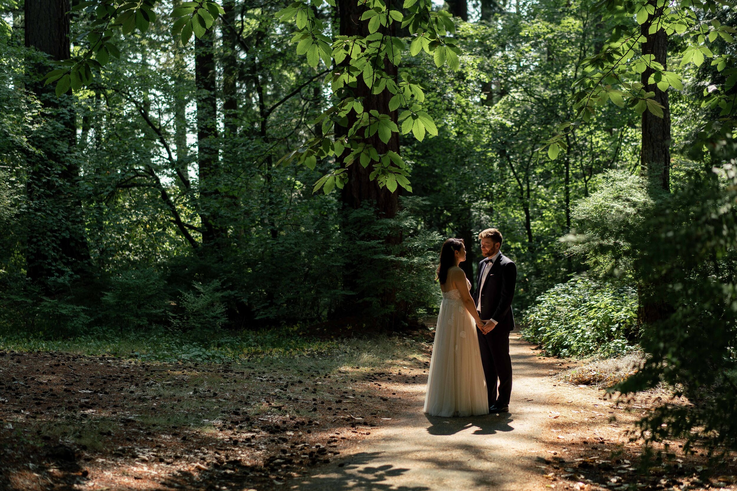 Intimate wedding day moment between the Bride and Groom. Private moment in a forested setting | Keepsake Events
