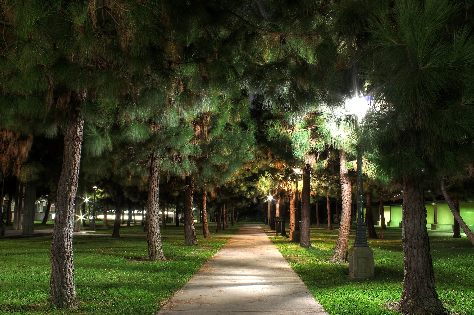 Barnsdall_art_park_B_final.png